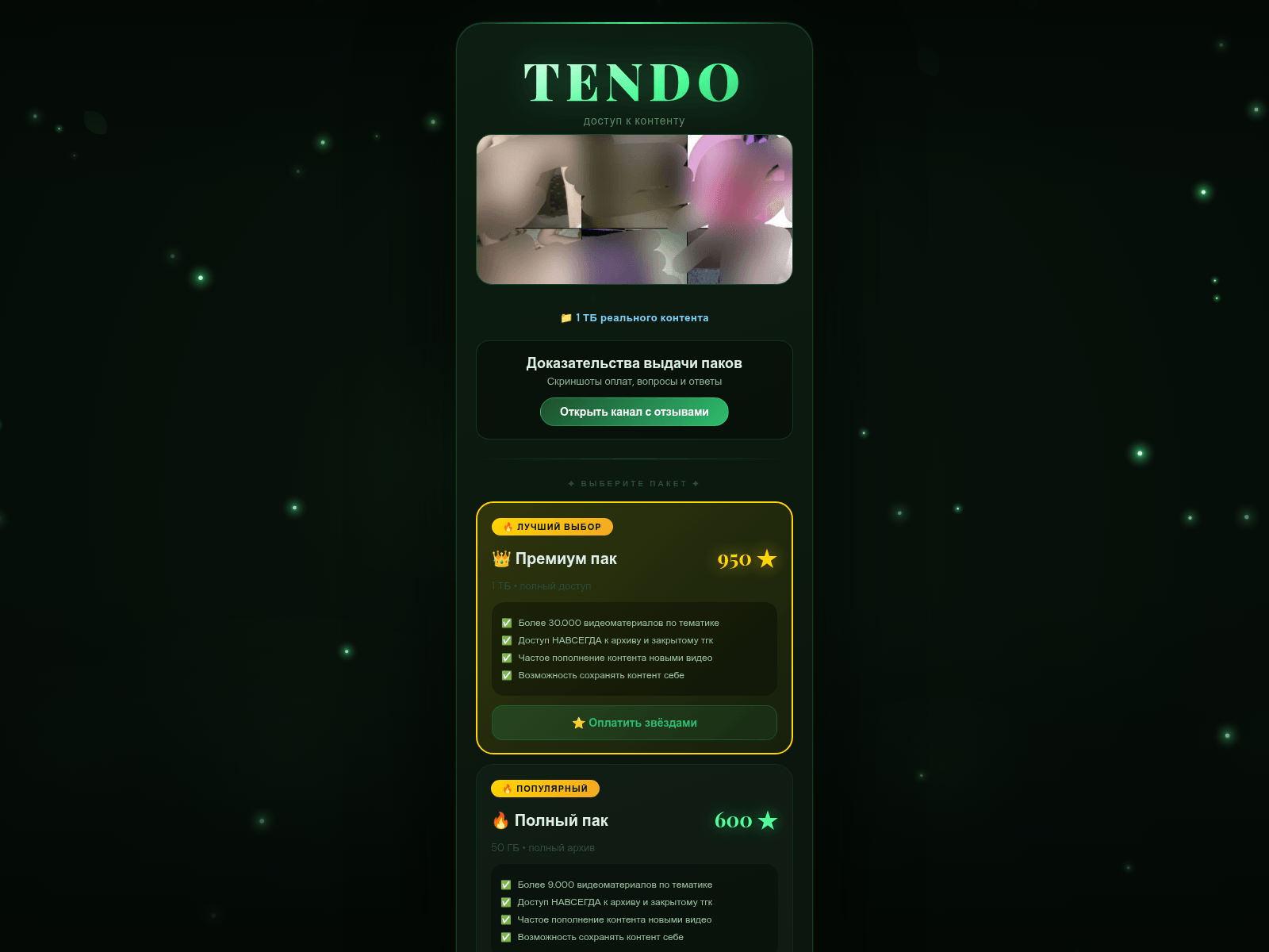 Screenshot of tenzo.lol