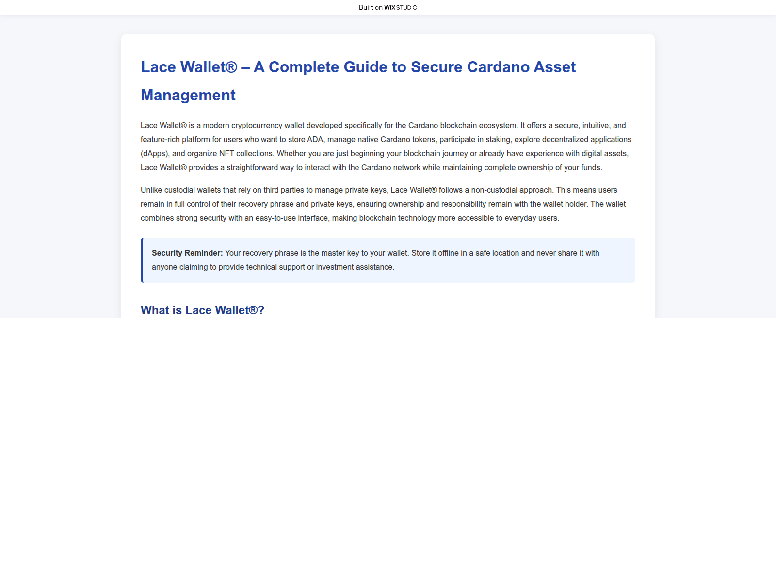 Screenshot of laceappswallet.wixstudio.com