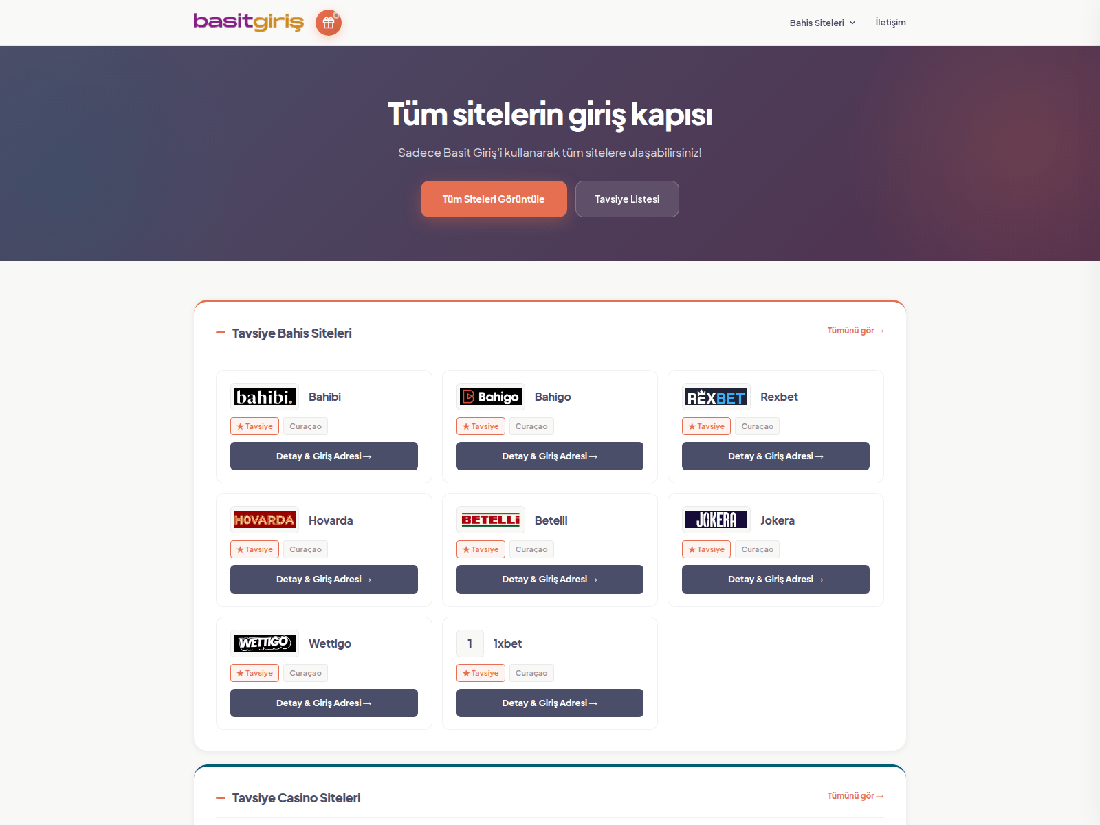 Screenshot of basitgiris.one