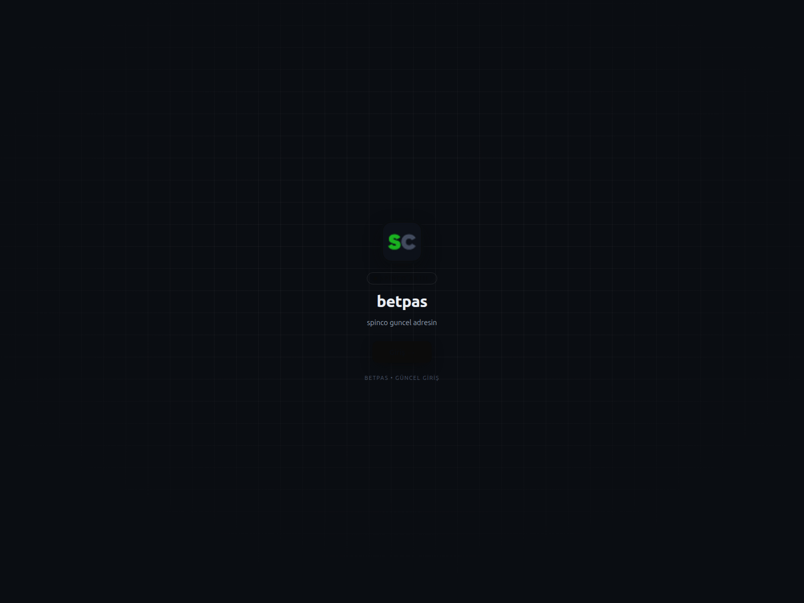 Screenshot of spinco-adres.icu