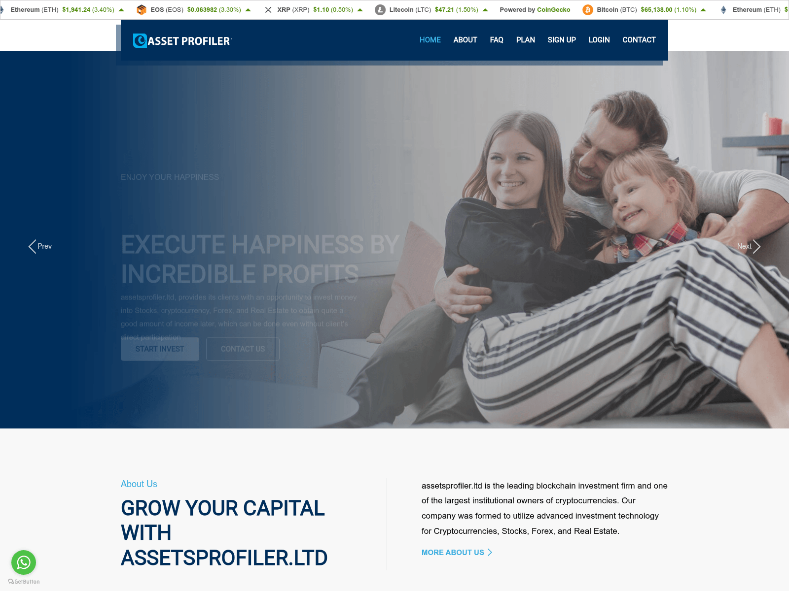 Screenshot of assetsprofiler.ltd