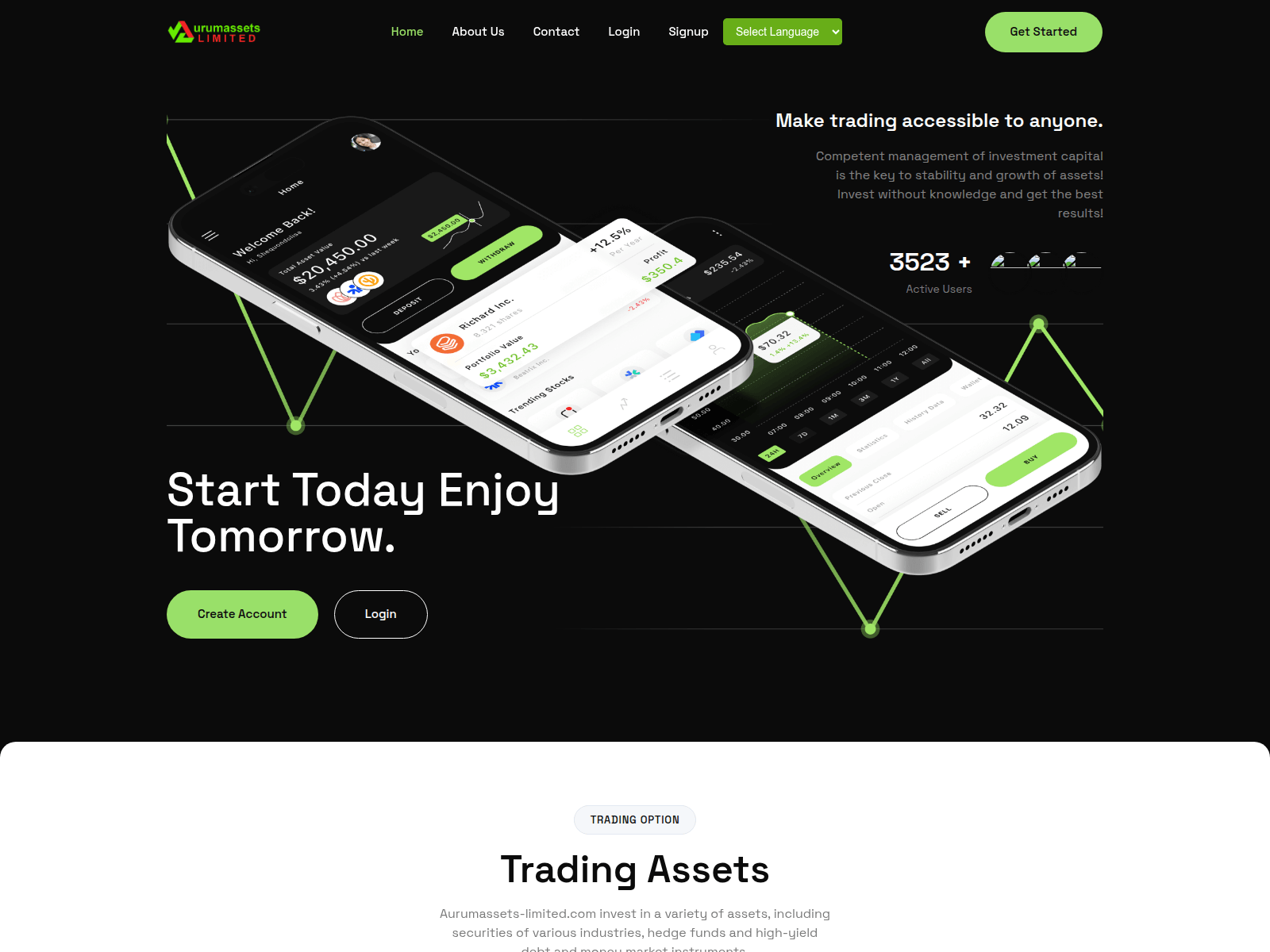 Screenshot of aurumassets-limited.com