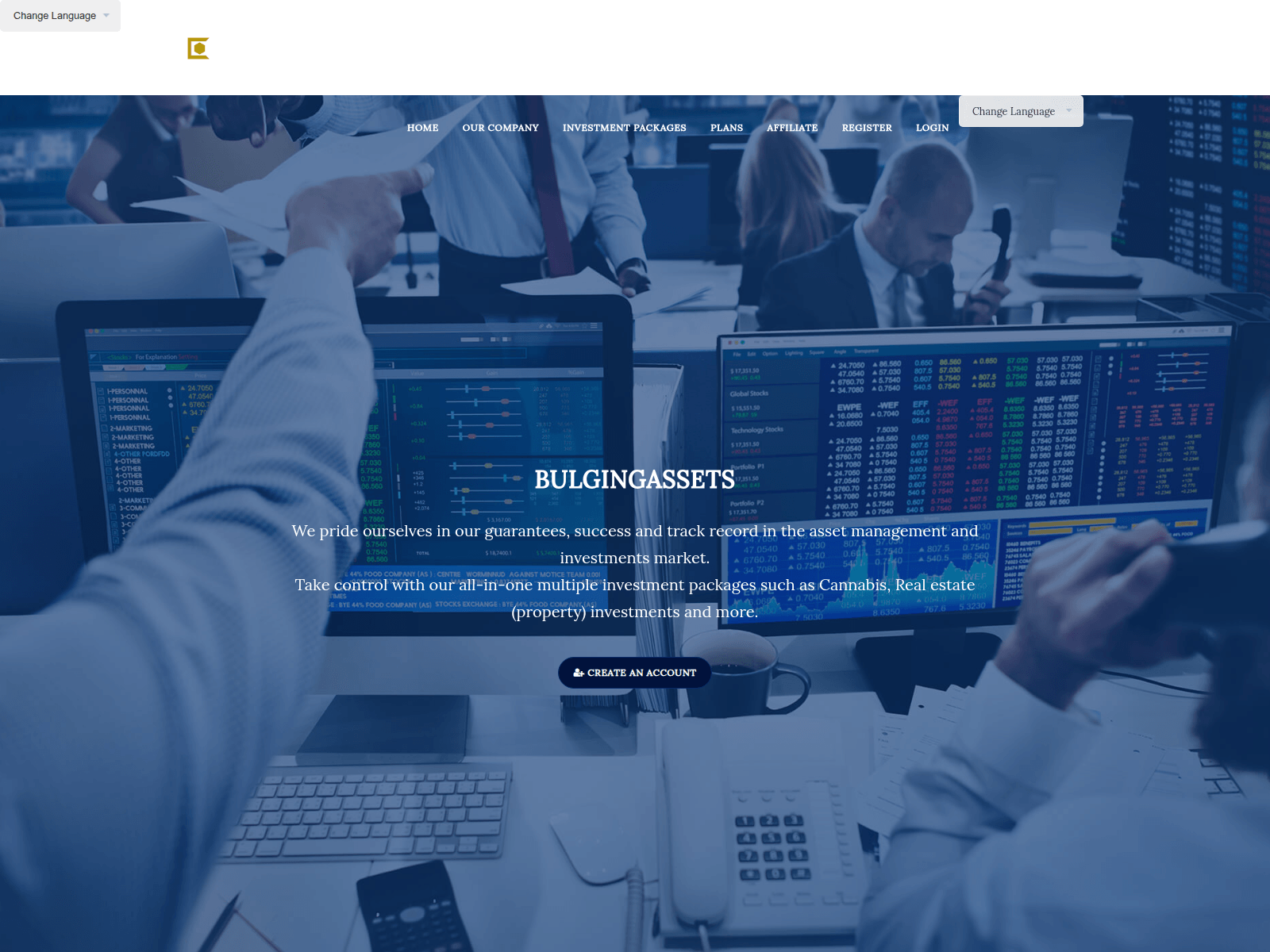Screenshot of bulging-assets.com