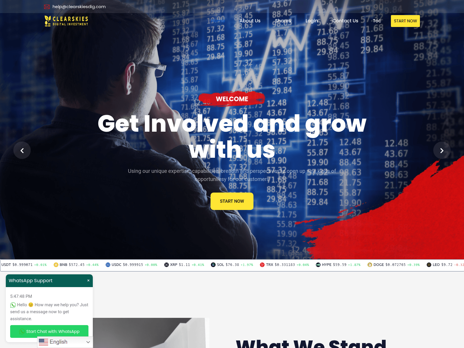 Screenshot of clearskiesdig.com