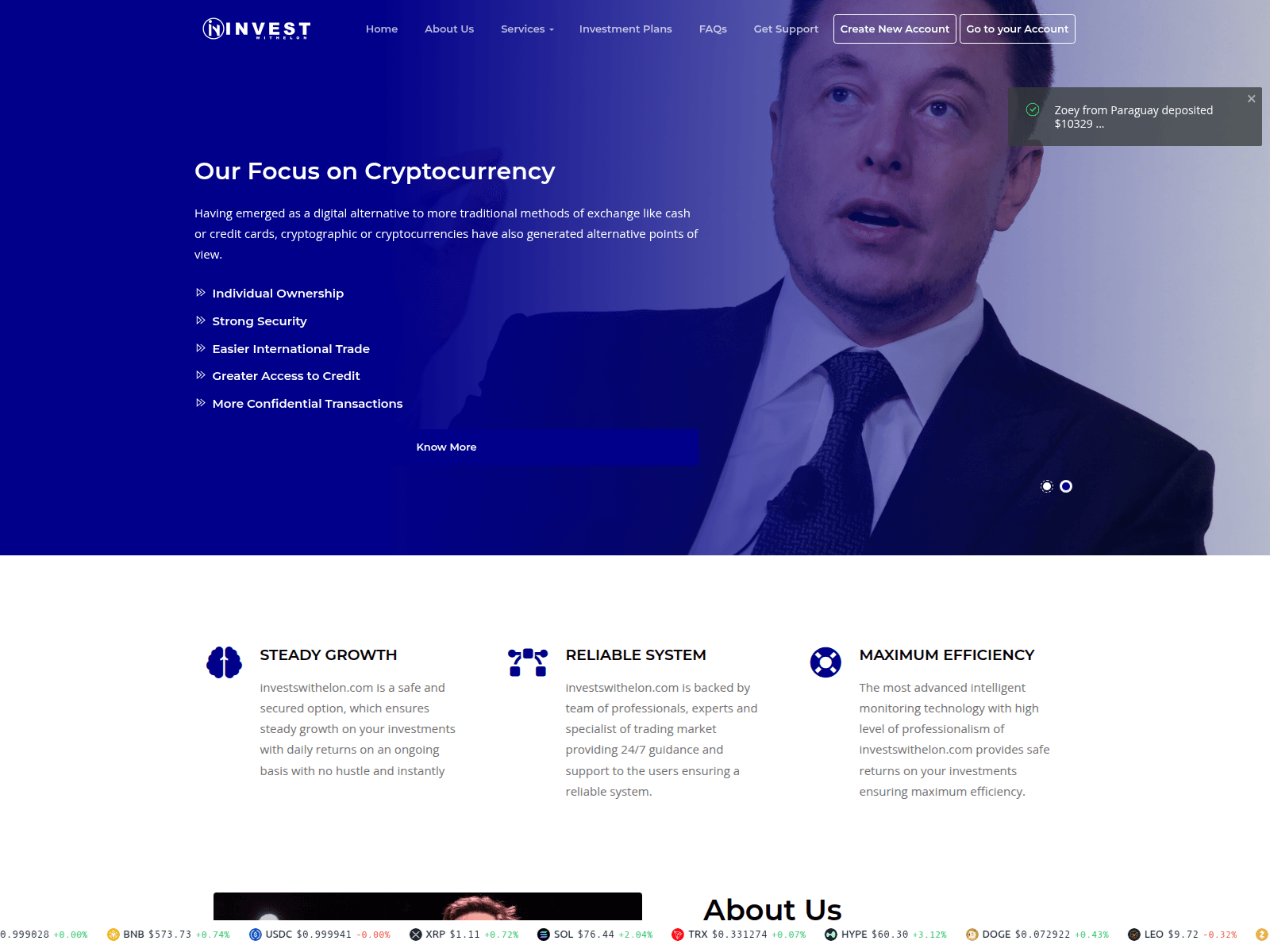 Screenshot of investswithelon.com