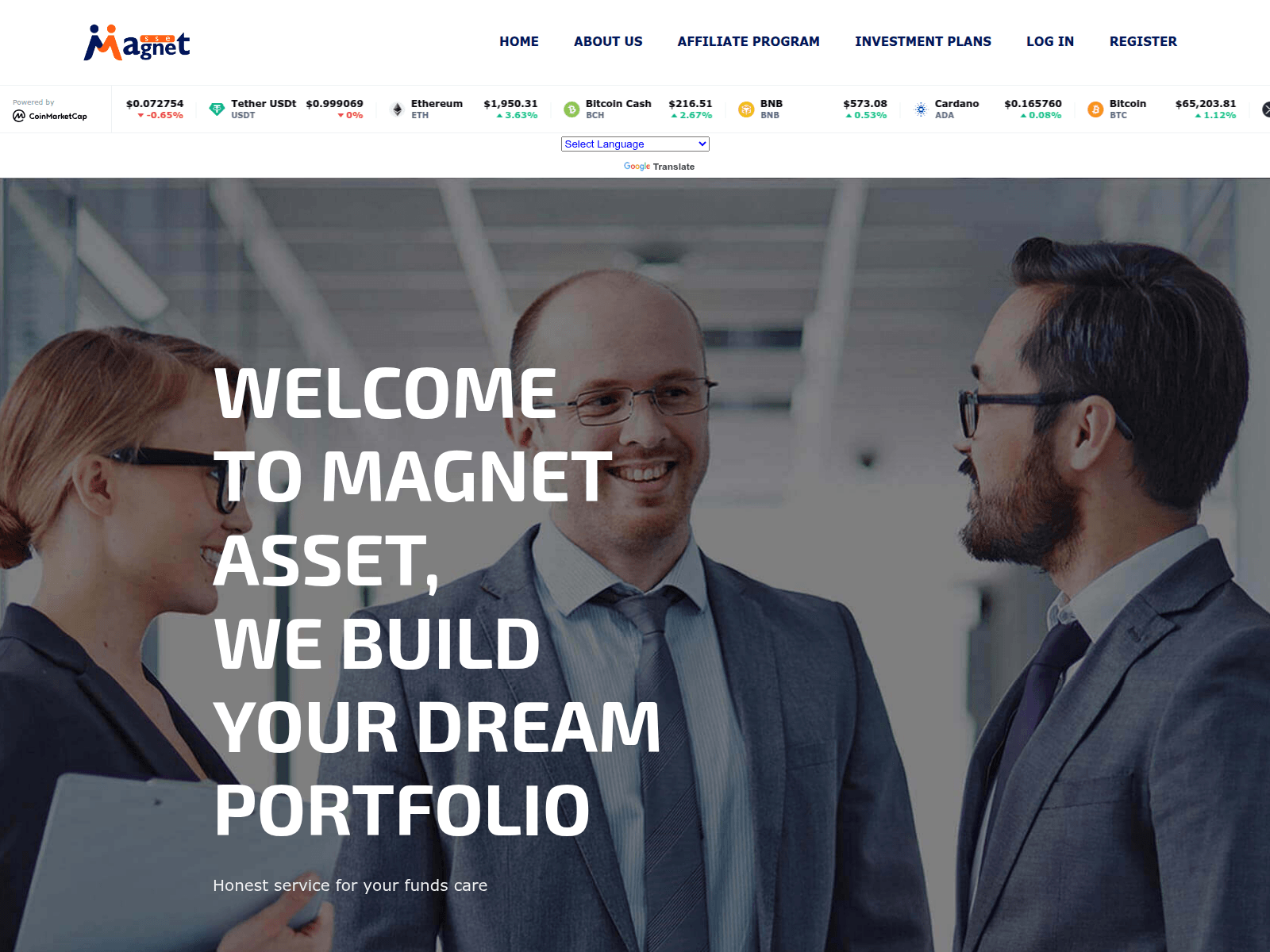 Screenshot of magnetasset.com