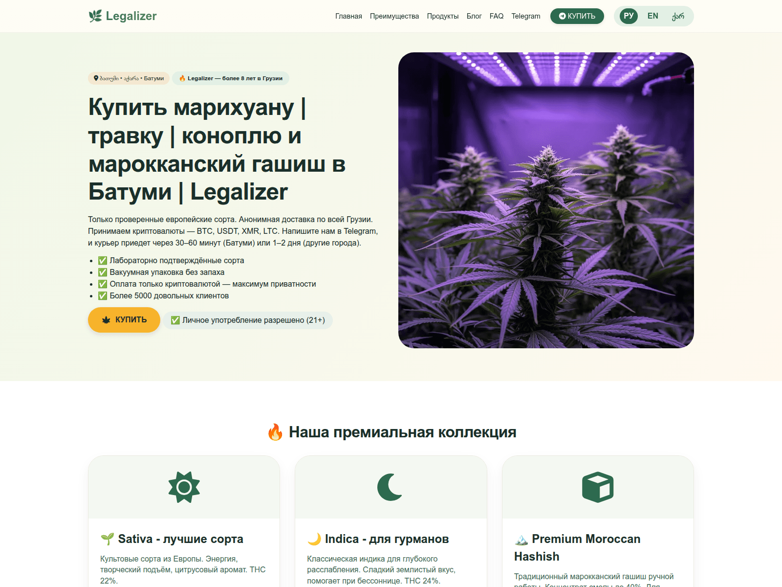 Screenshot of legalizer.store