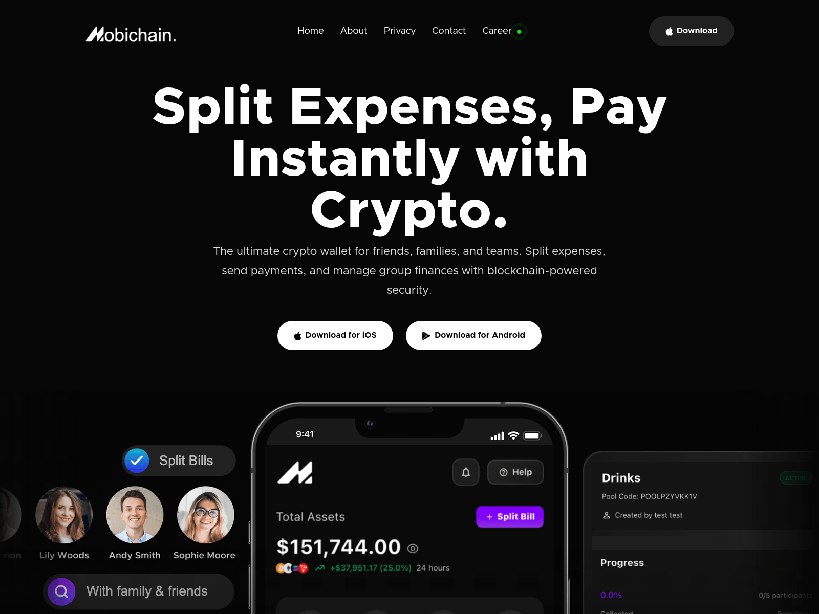 Screenshot of mobichain.co