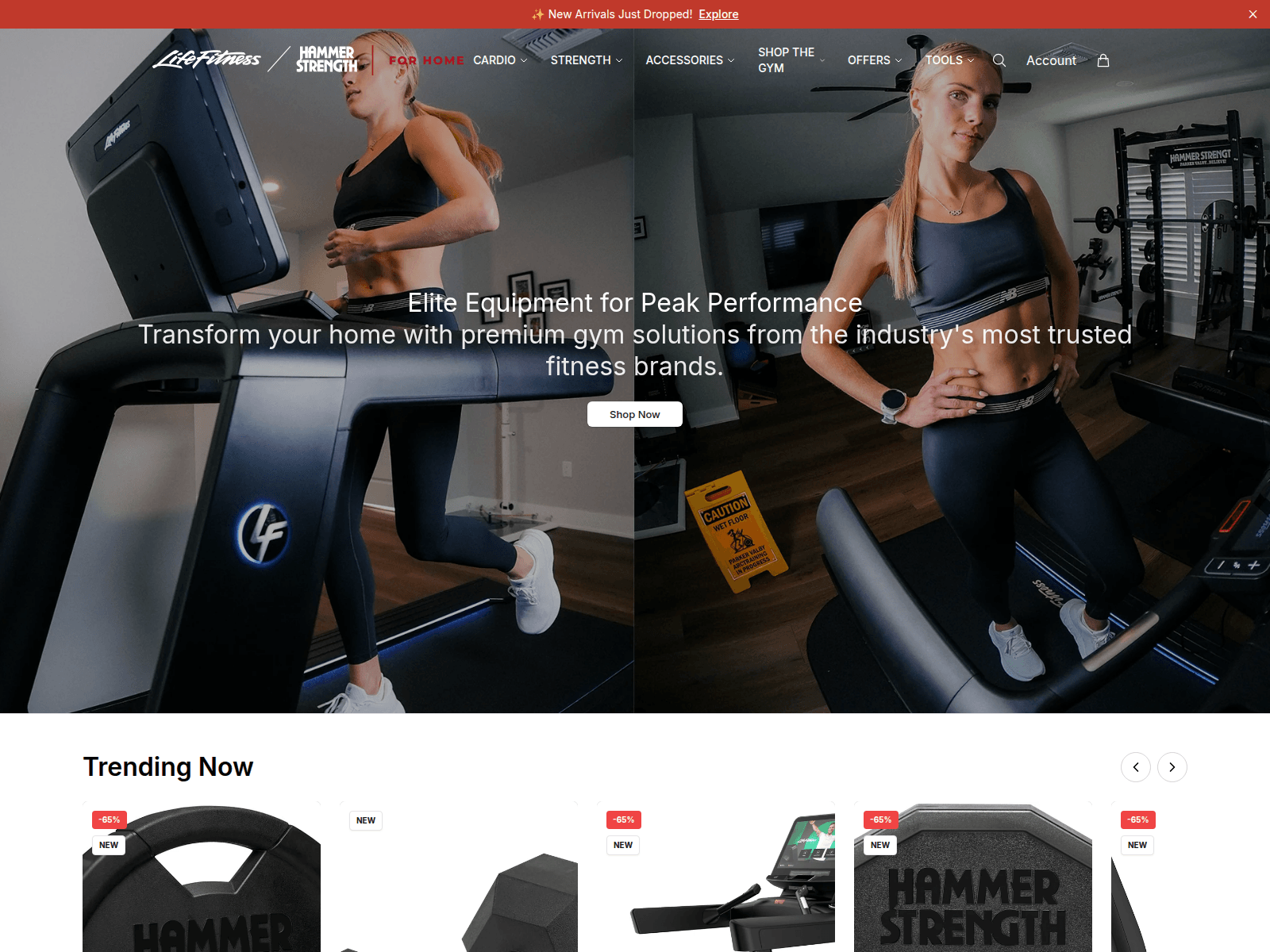 Screenshot of lifefitnessonline.shop