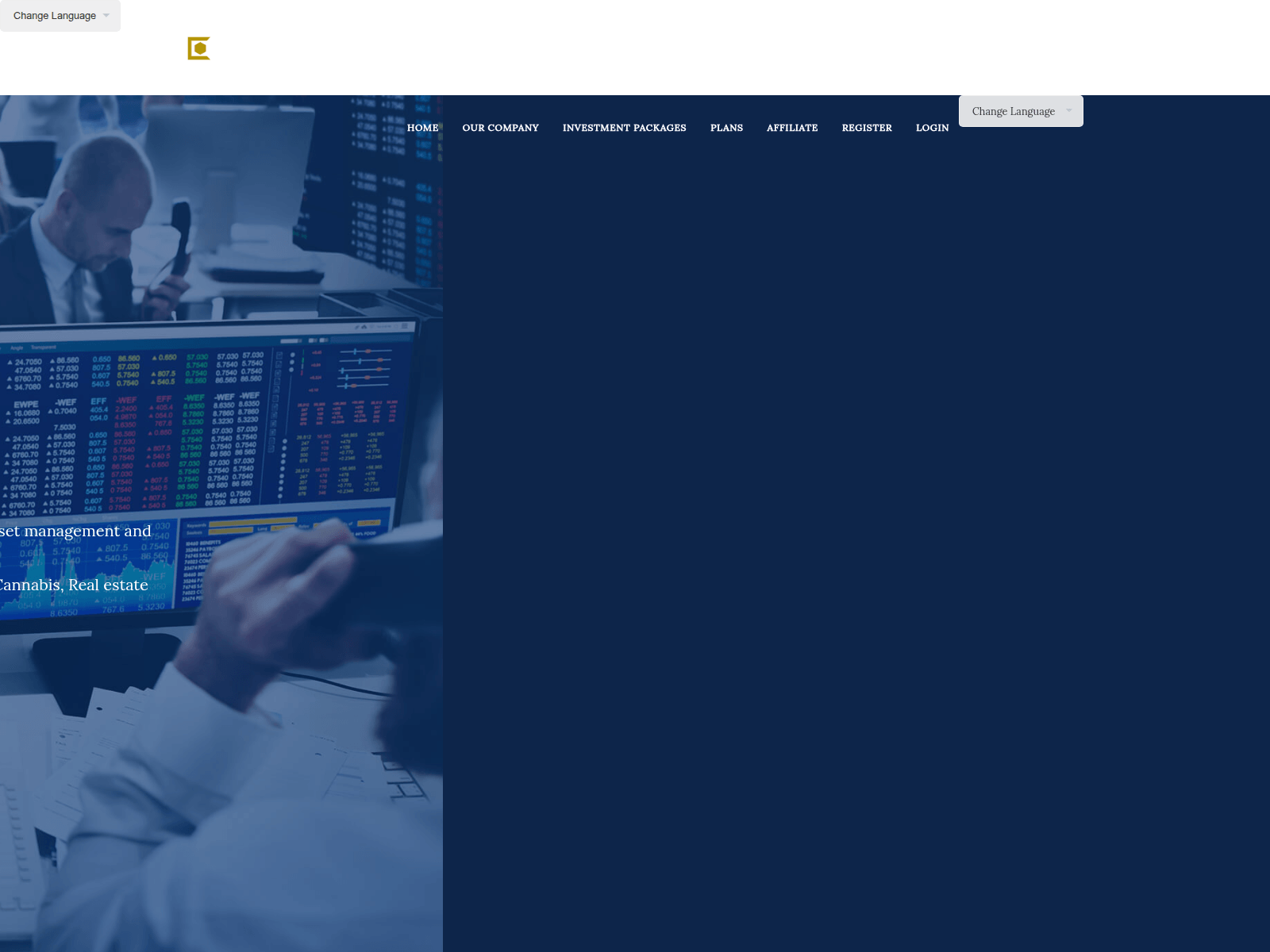Screenshot of megalinesltd.com