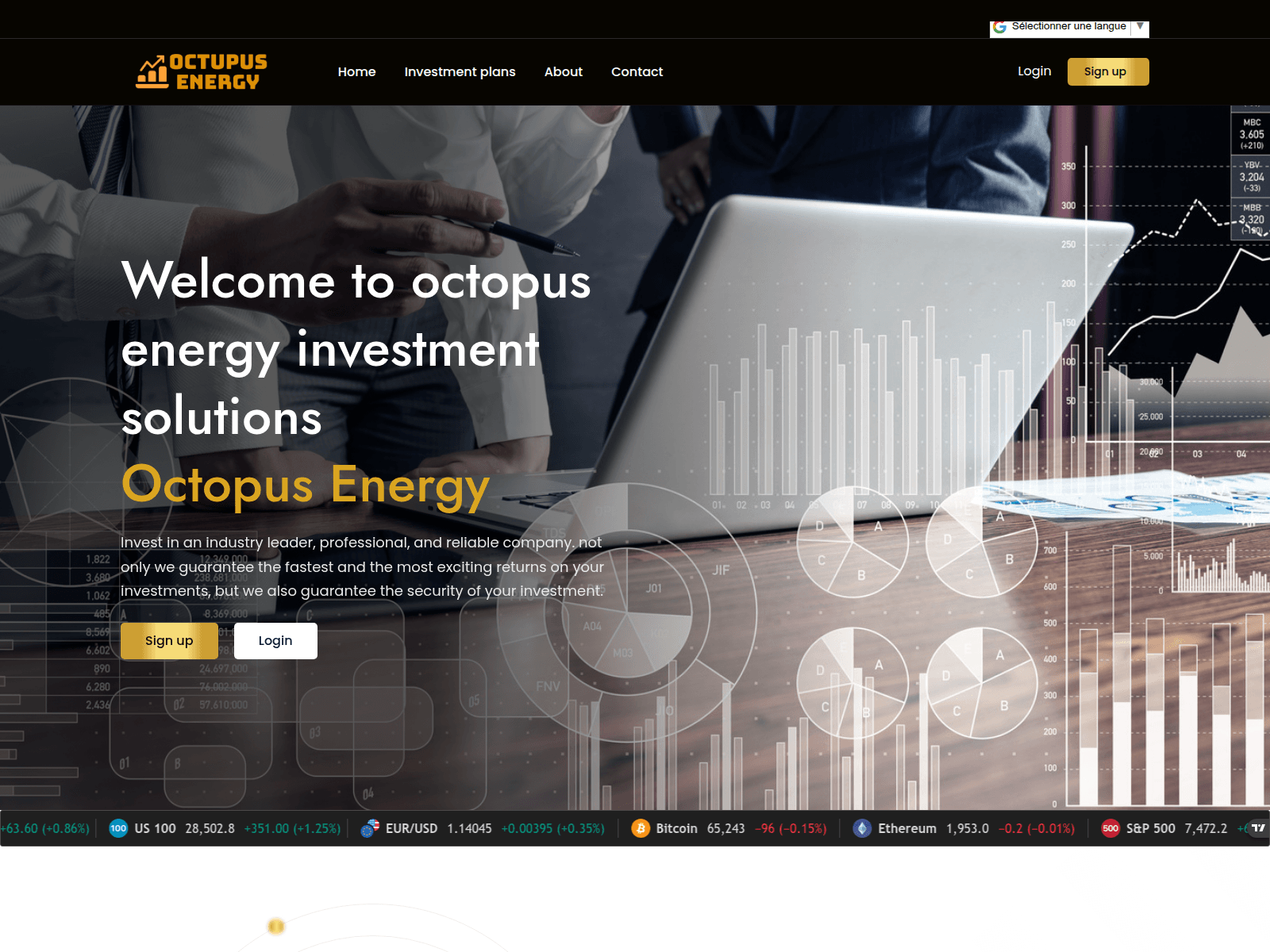 Screenshot of octopusenergylimited.com