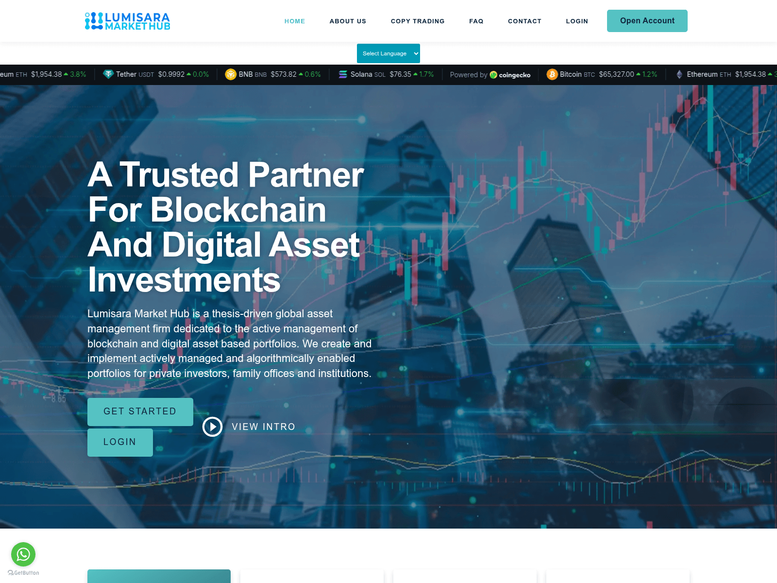 Screenshot of lumisaramrkthub.com