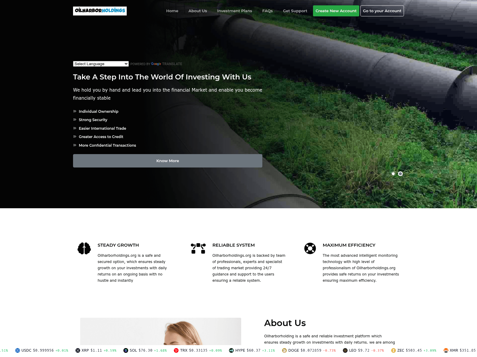 Screenshot of oilharborholdings.org