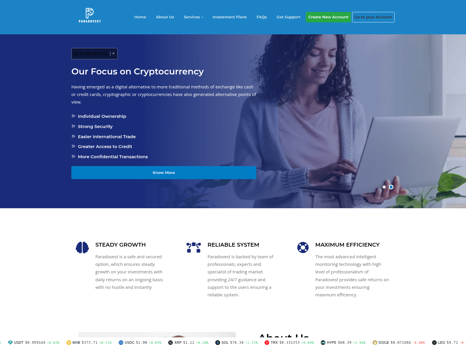 Screenshot of paradovest.com