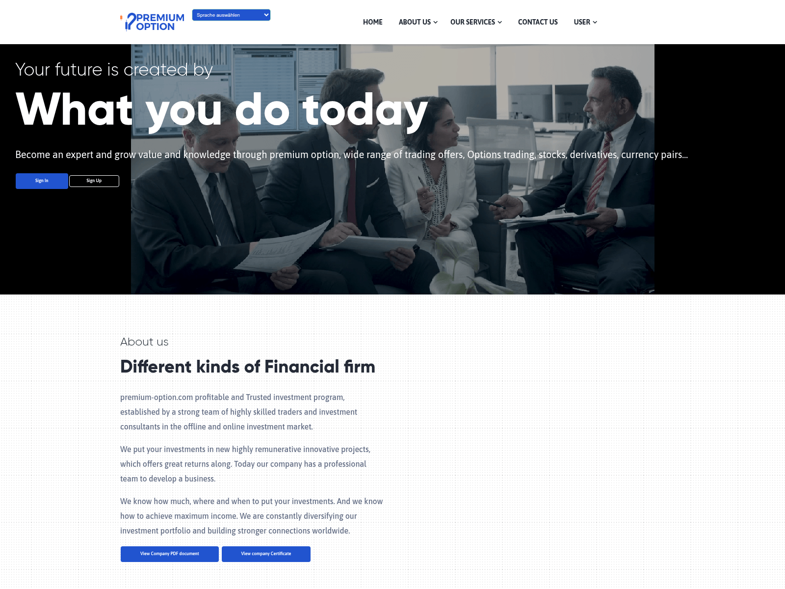 Screenshot of premium-option.com