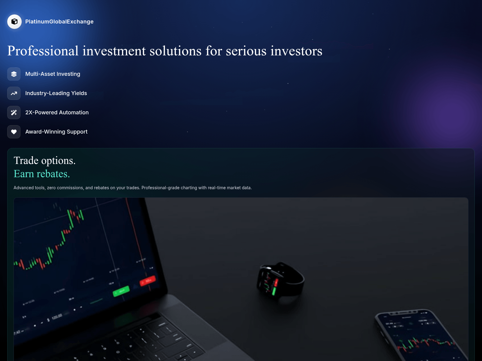Screenshot of platinumglobalexchange.com