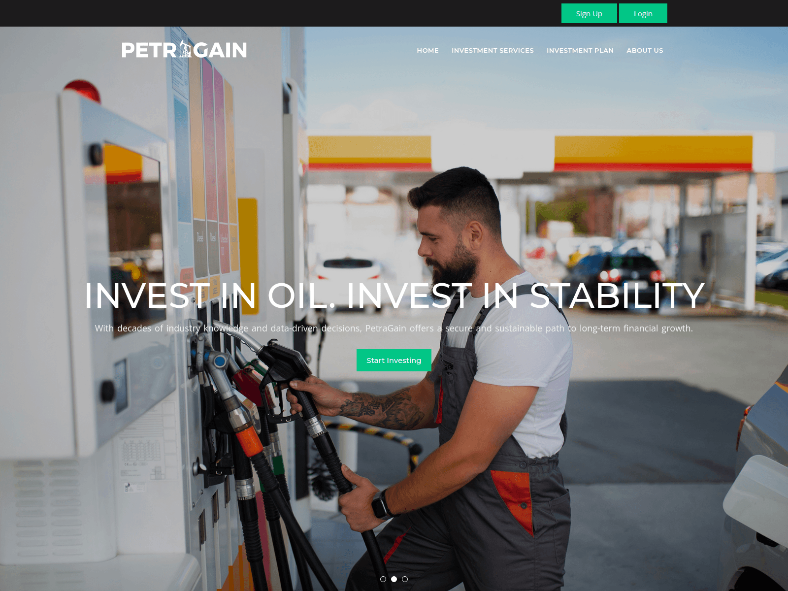 Screenshot of petragain-ltd.com