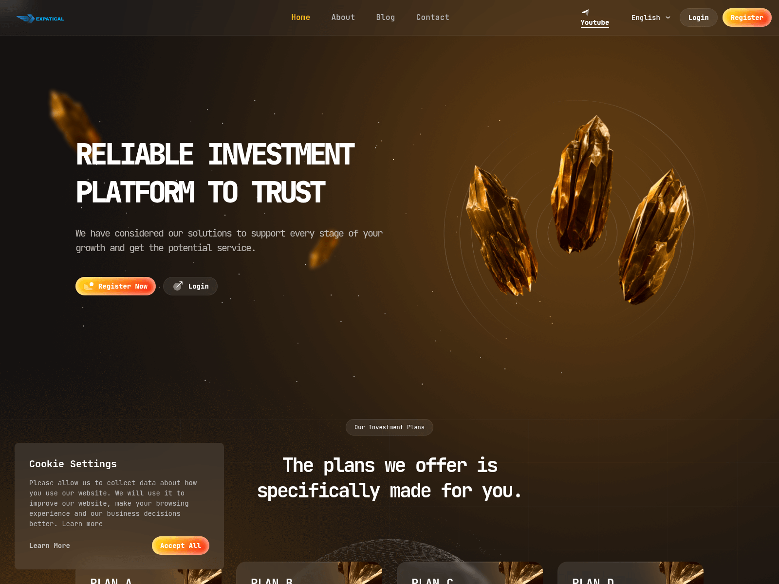 Screenshot of royalexpactical.com