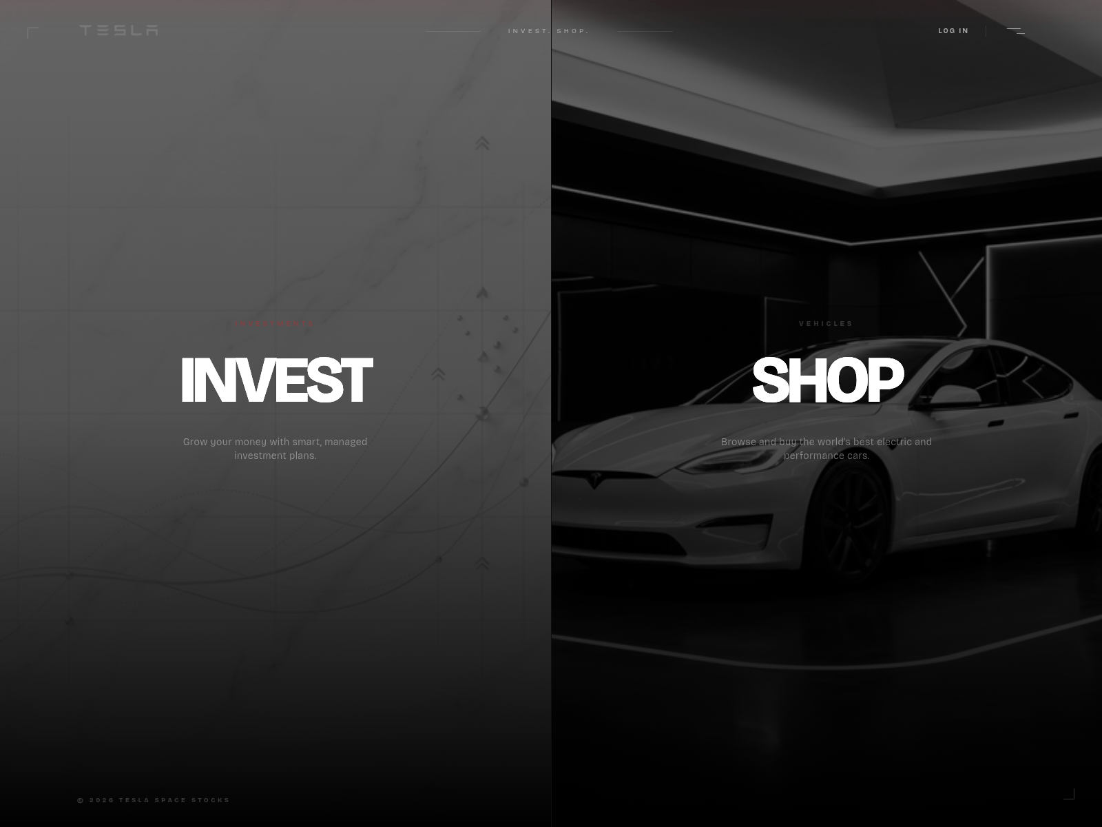 Screenshot of teslaspacestocks.com