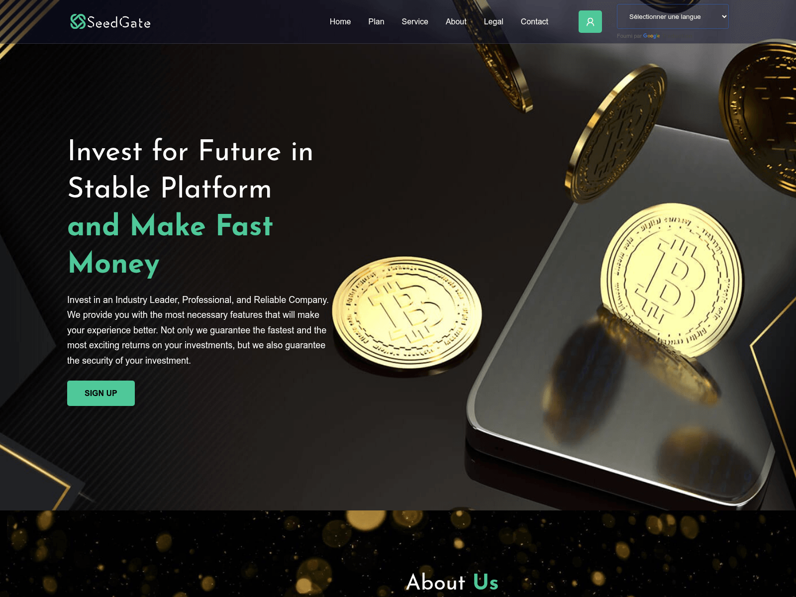 Screenshot of seedgateltd.com