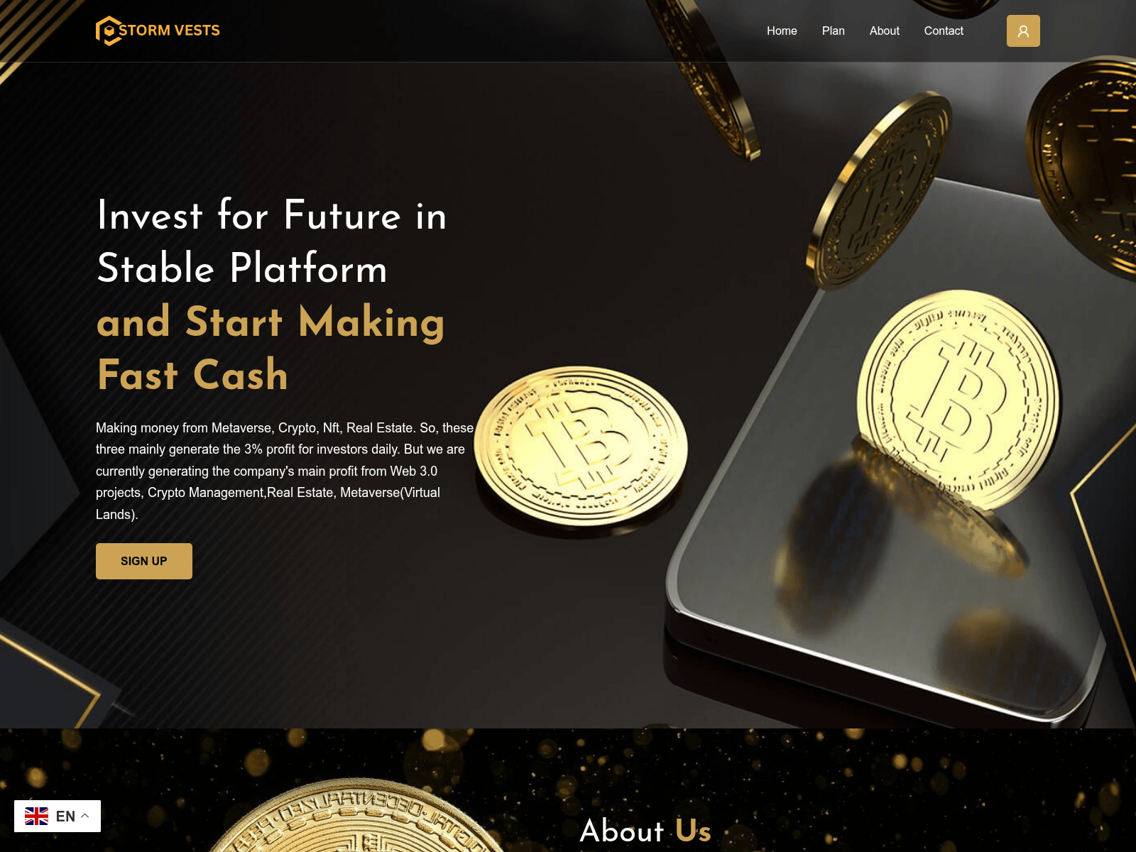 Screenshot of stormyvest.com