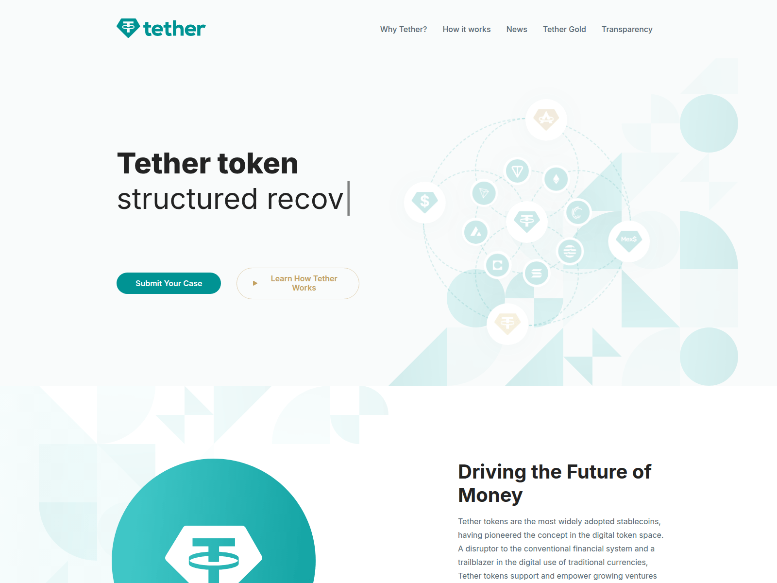 Screenshot of tether.com.bz