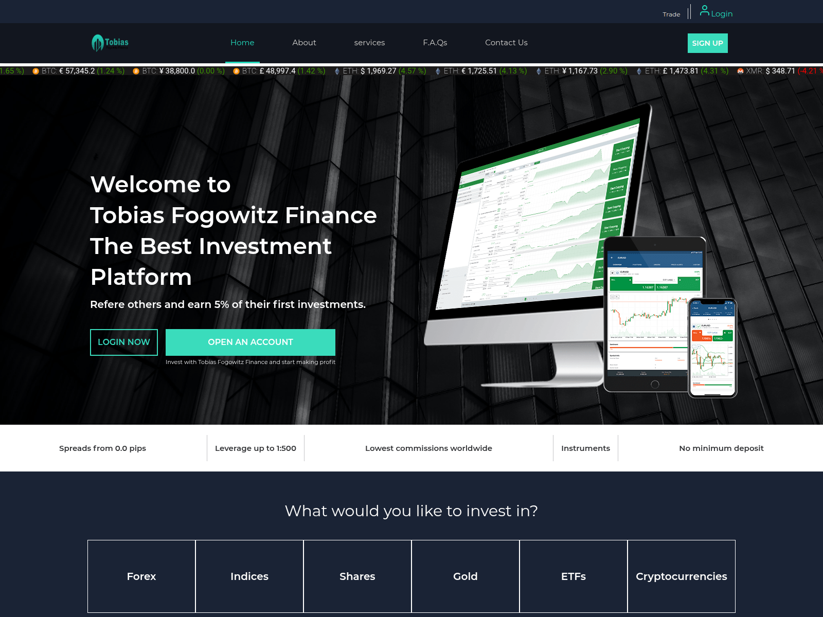 Screenshot of tobiasfogowitzfinance.com