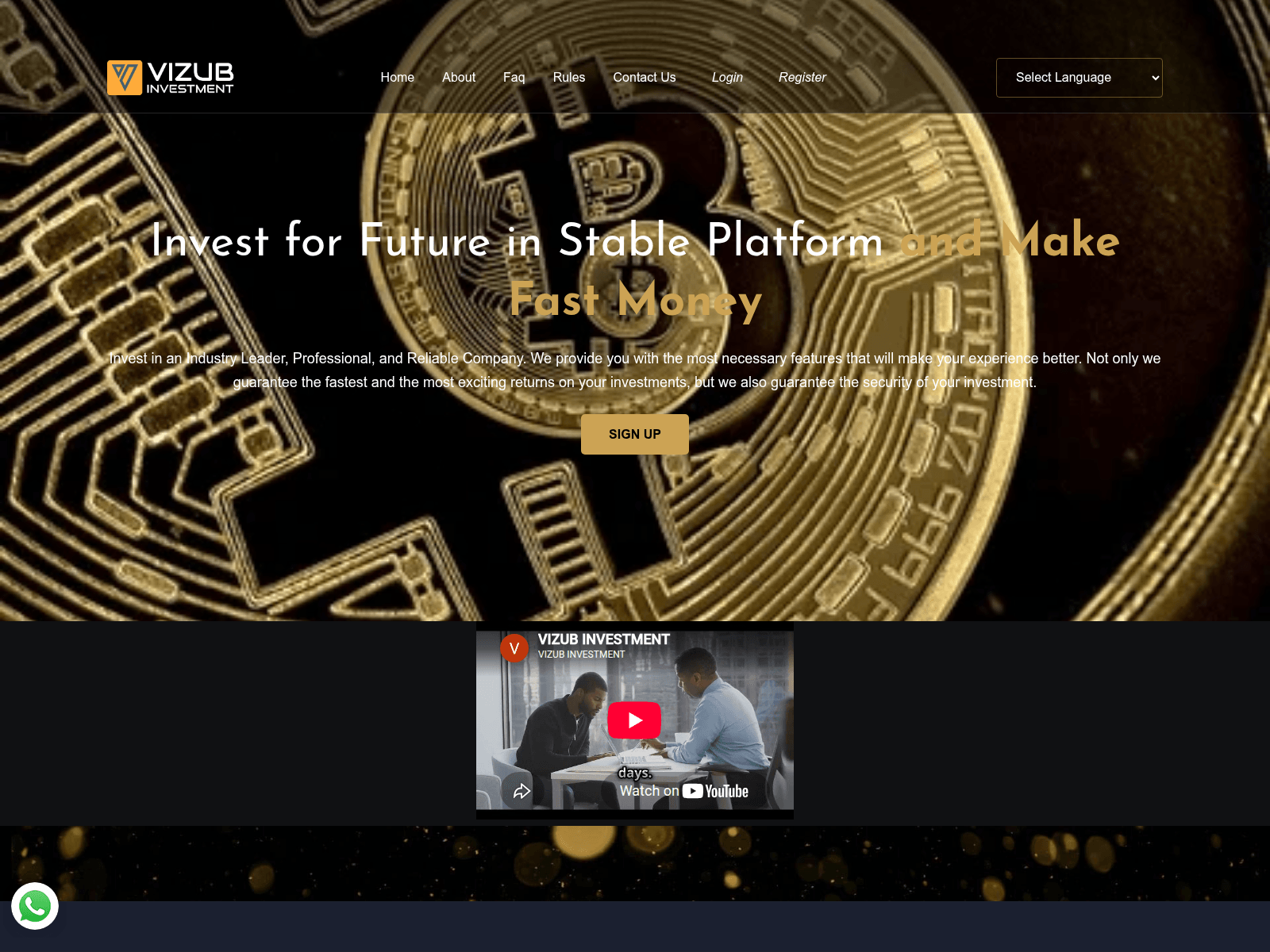 Screenshot of vizubinvestment.com