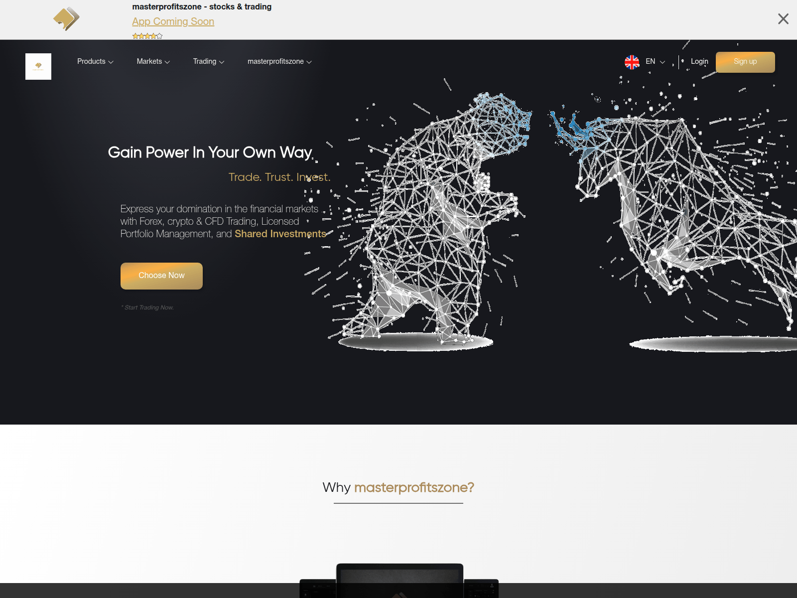 Screenshot of masterprofitszone.com