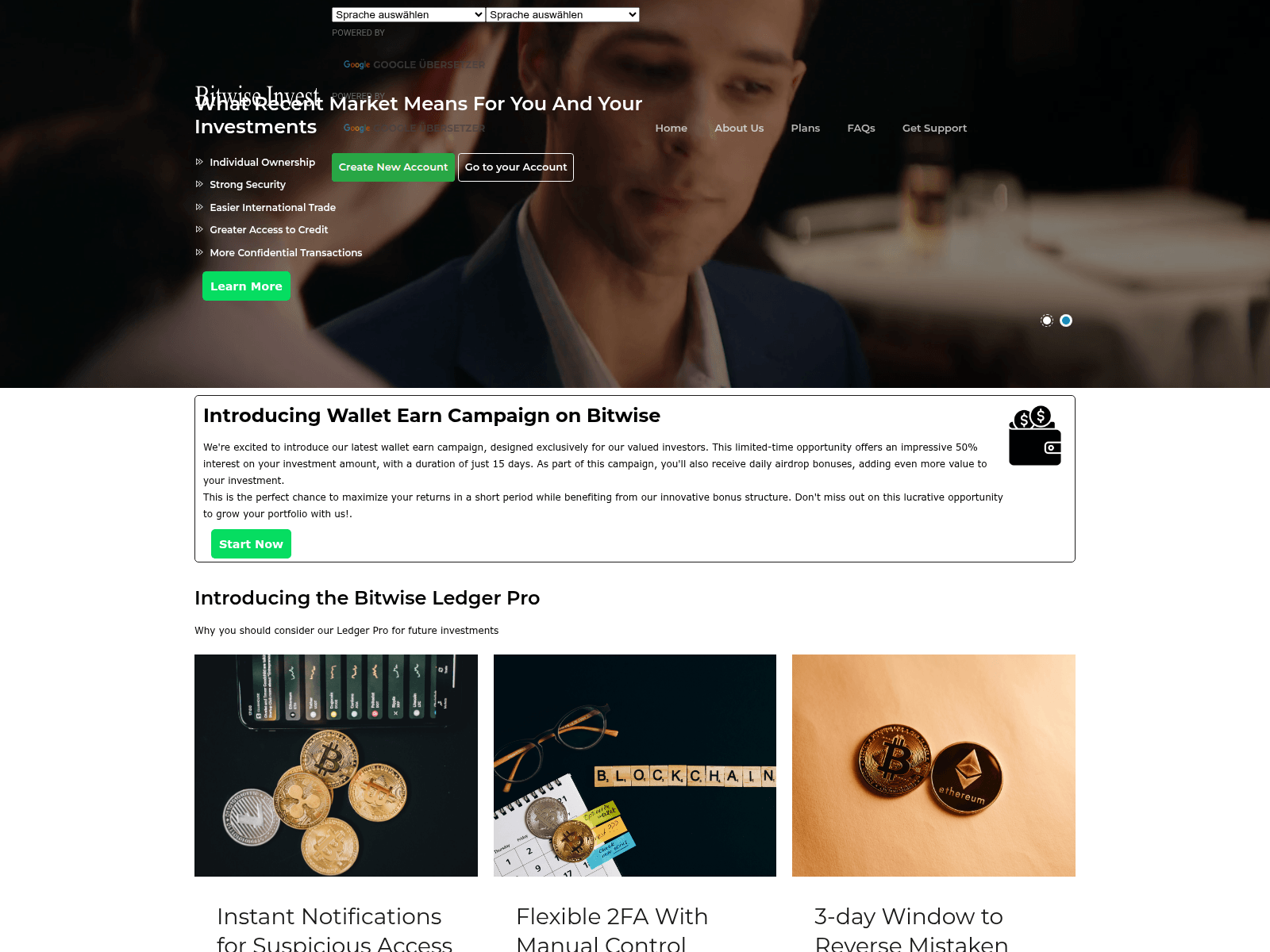 Screenshot of bitwiseinvestltd.com