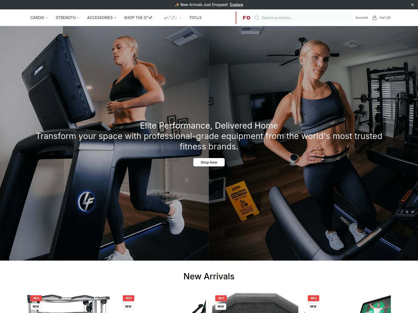 Screenshot of lifefitnessfit.shop