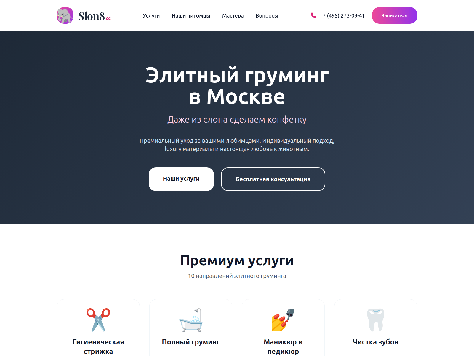 Screenshot of slon8-cc.info