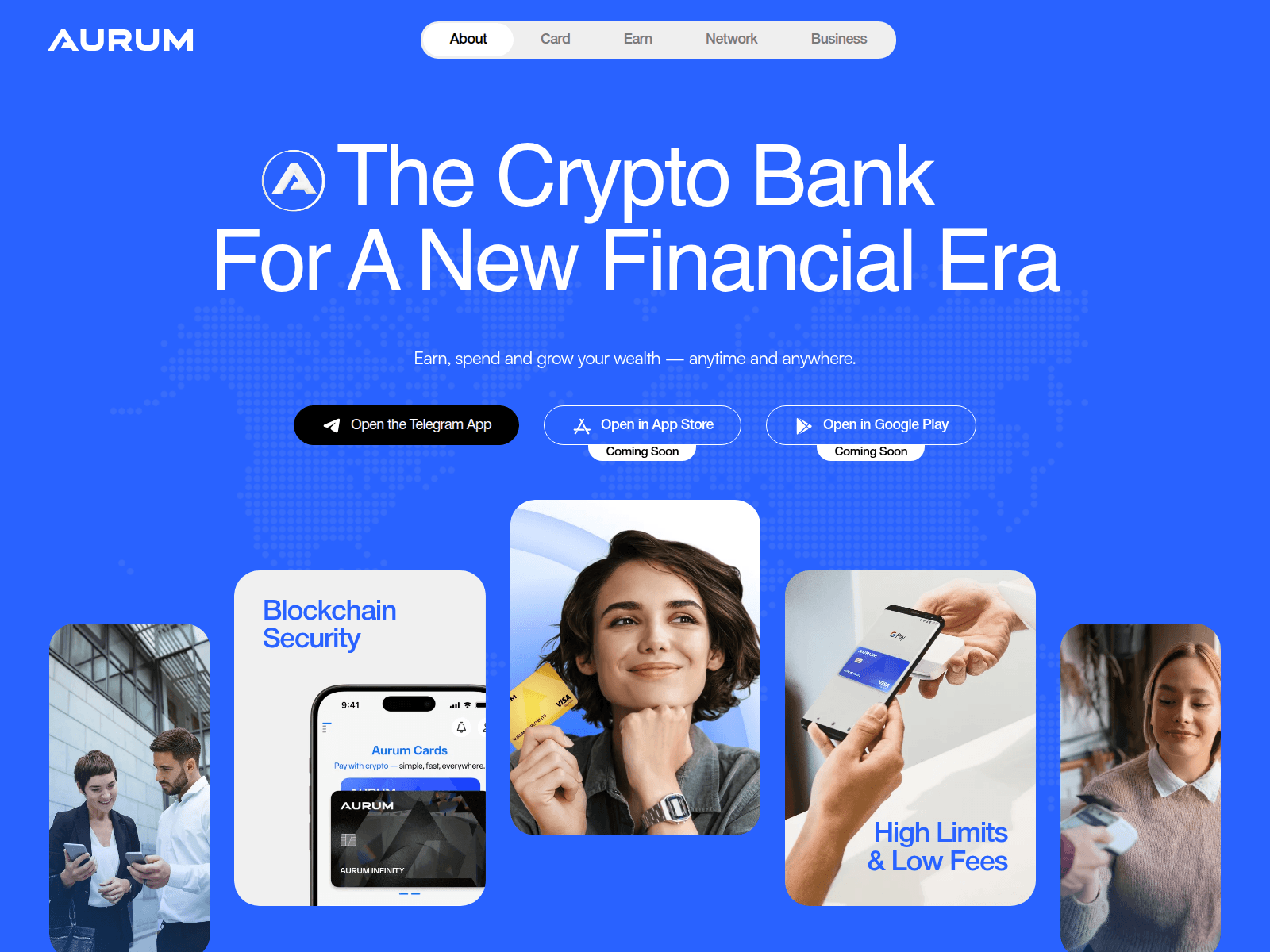 Screenshot of aurumneobank.com