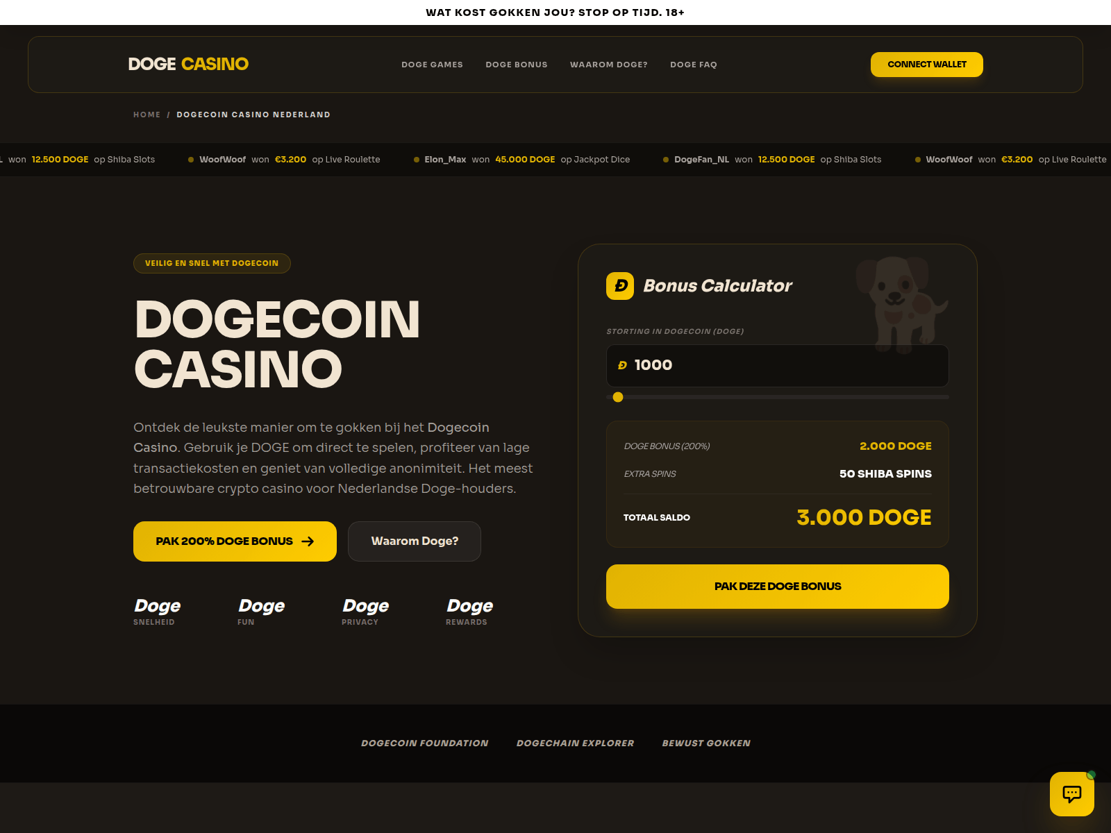 Screenshot of dogecoincasino.nl.traffborris1.org