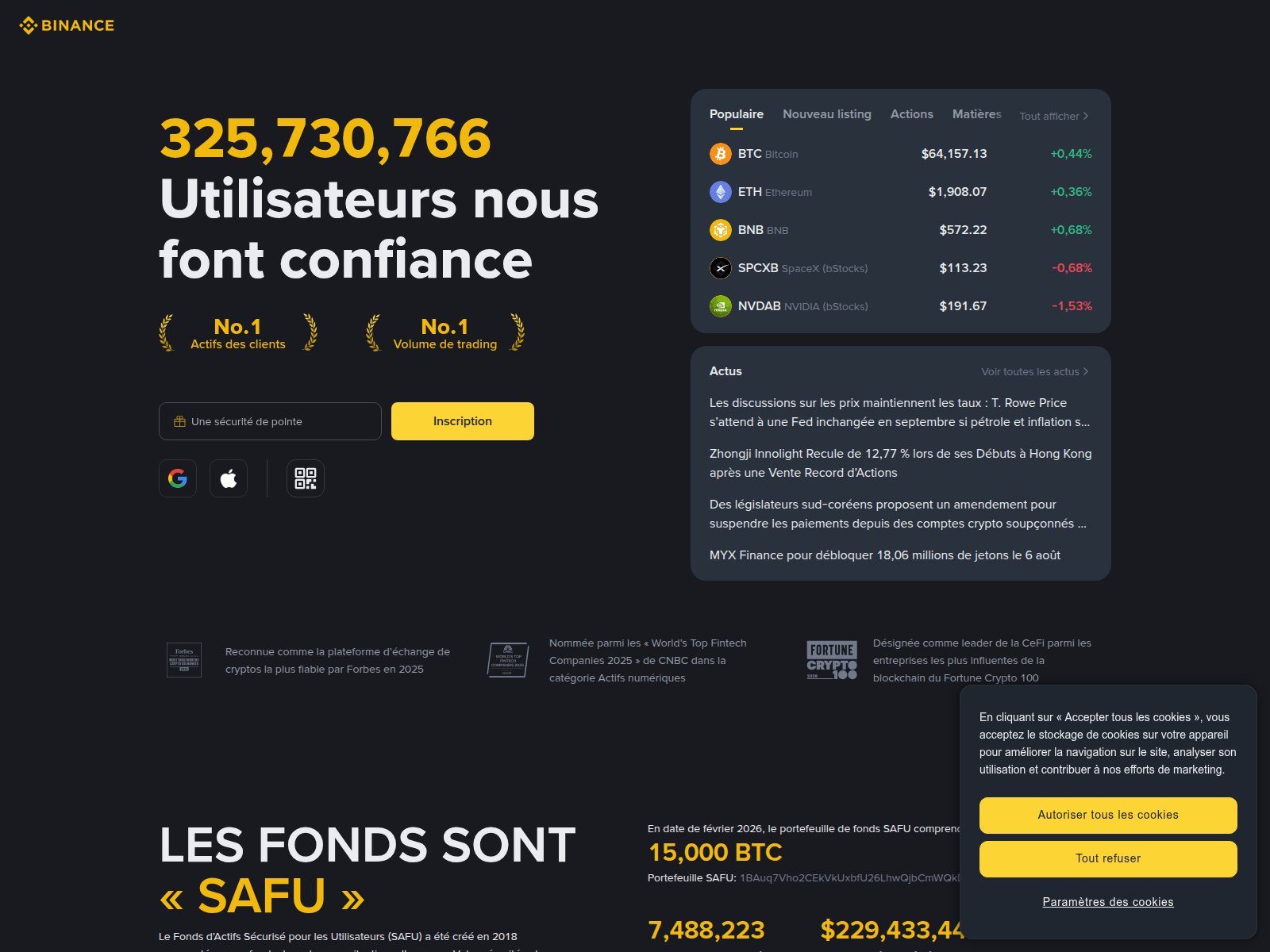Screenshot of 991832-binance.com