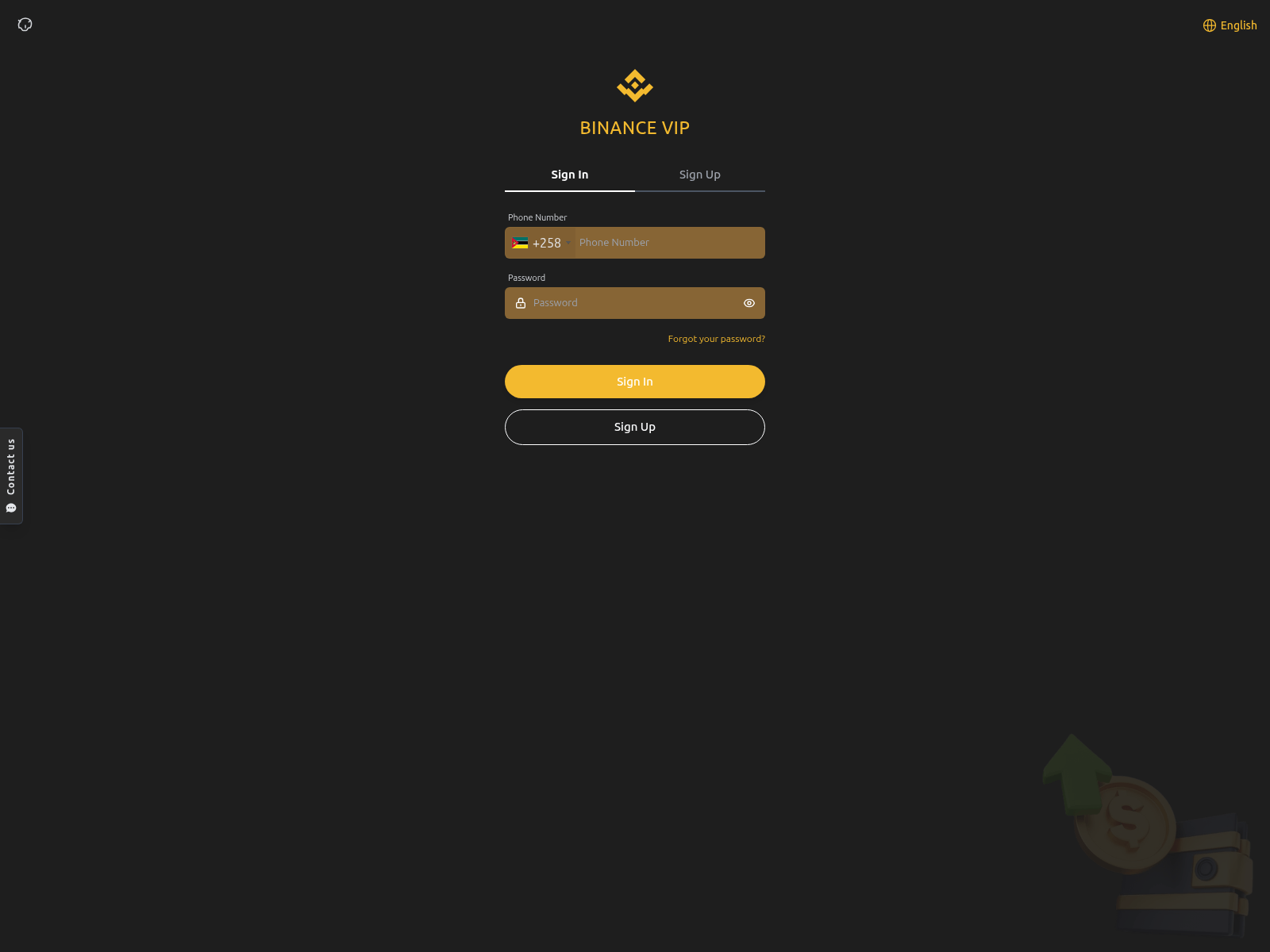 Screenshot of binance-vip.top