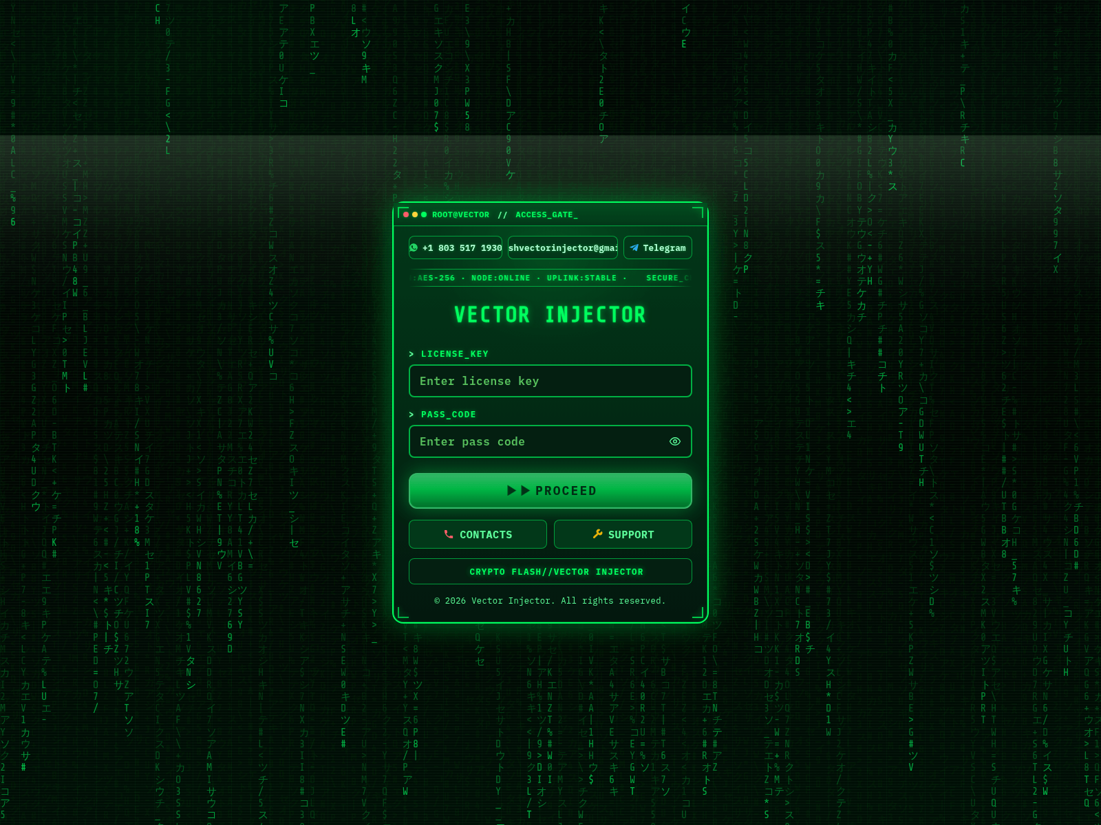 Screenshot of vectorinjector.com