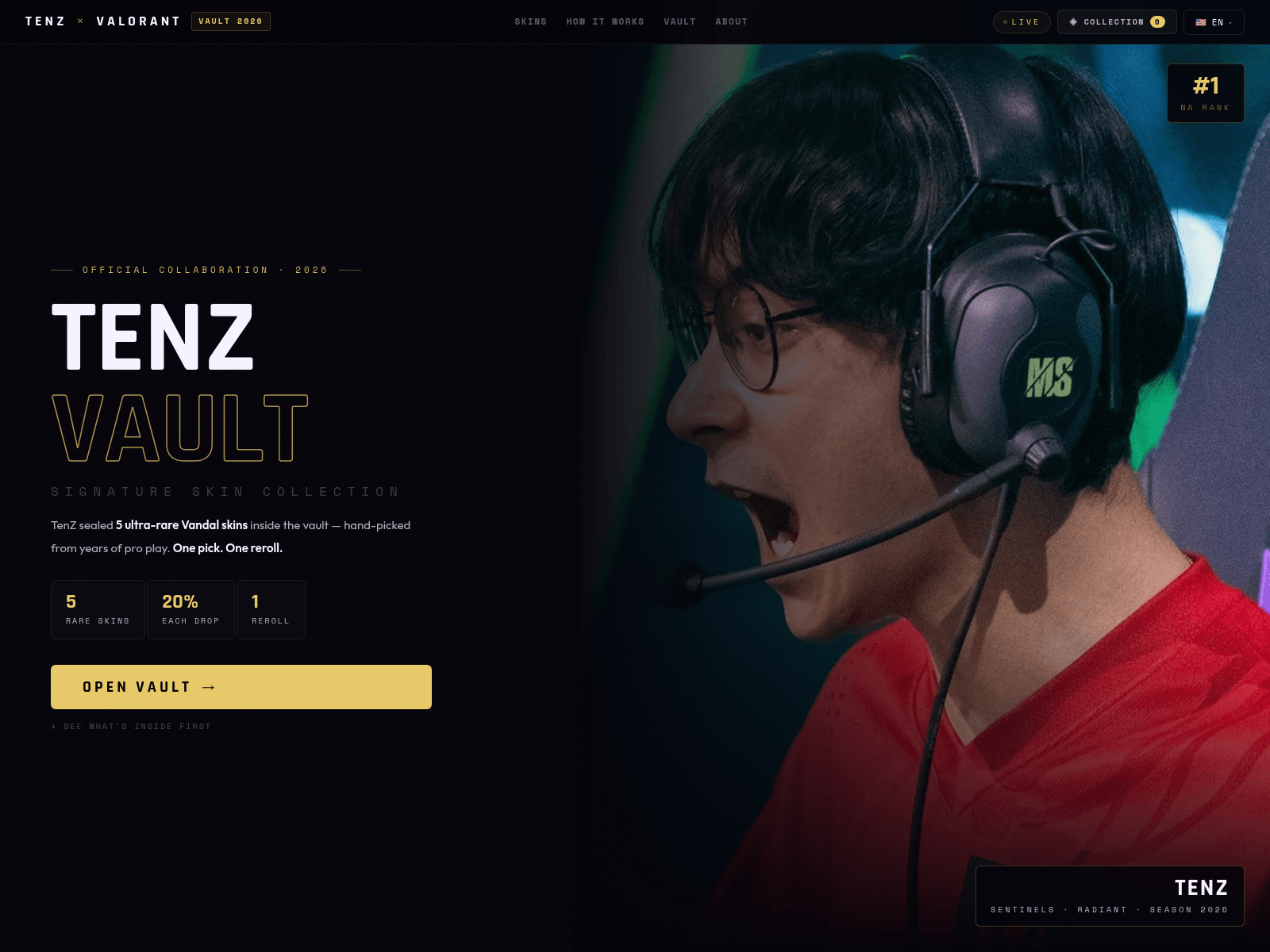 Screenshot of testnite.com