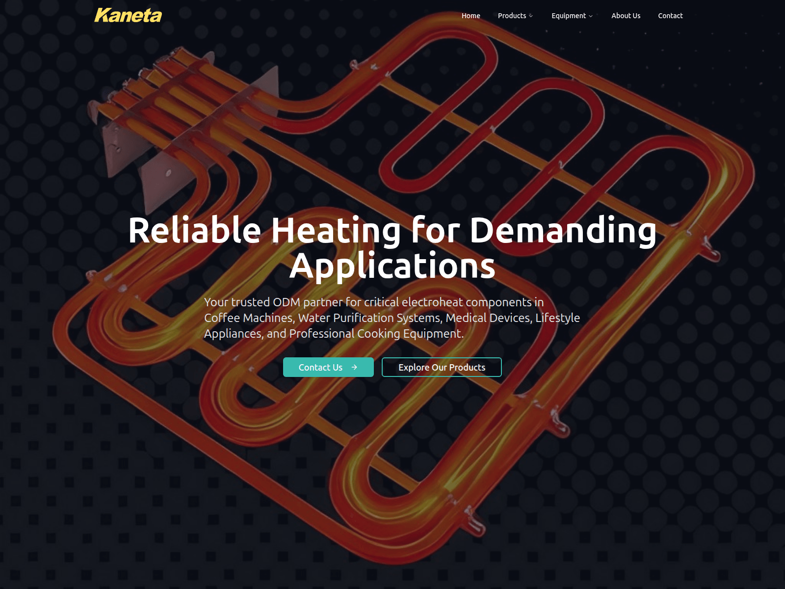 Screenshot of kaneta.com