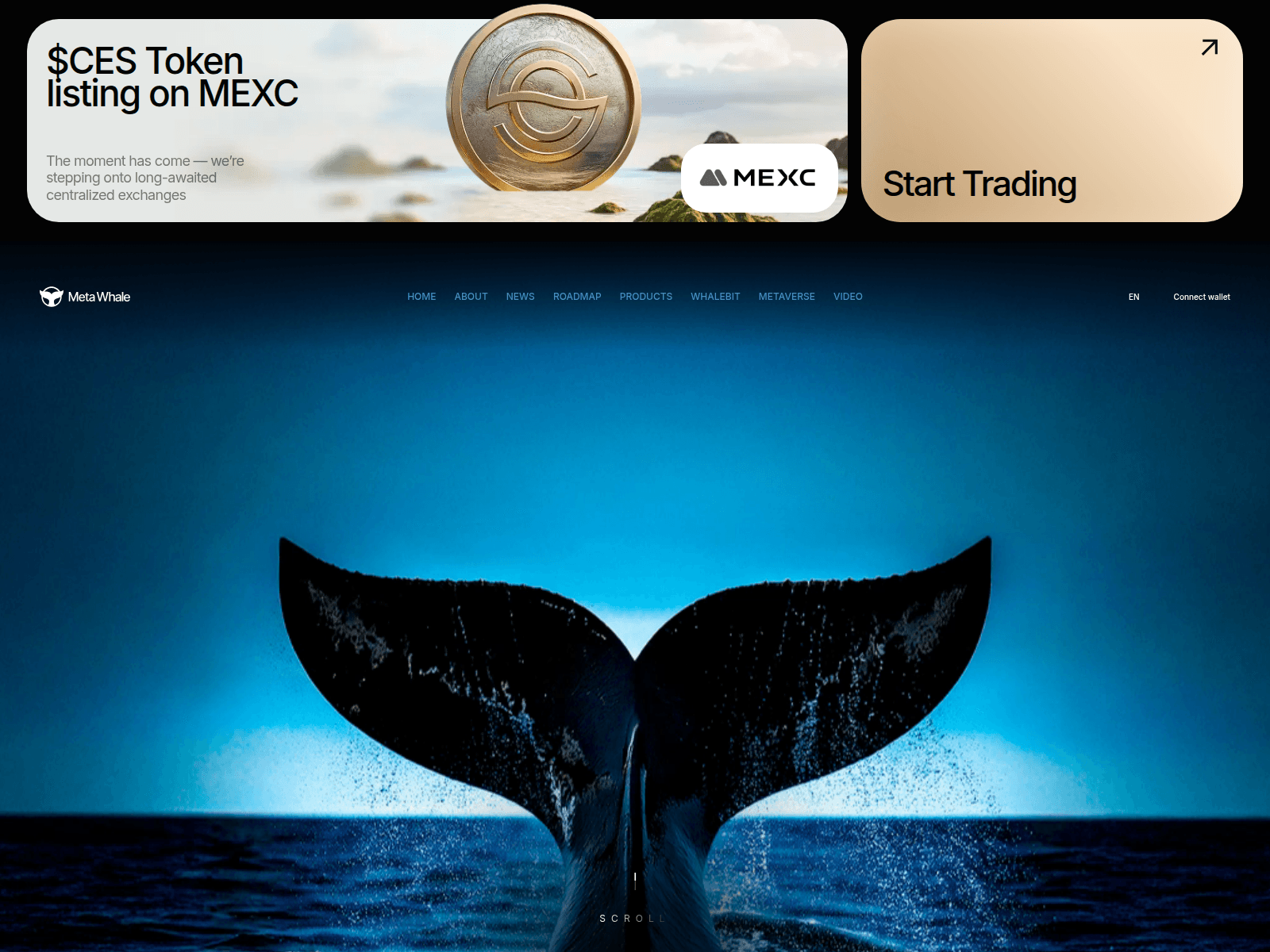 Screenshot of ces-metawhales.info