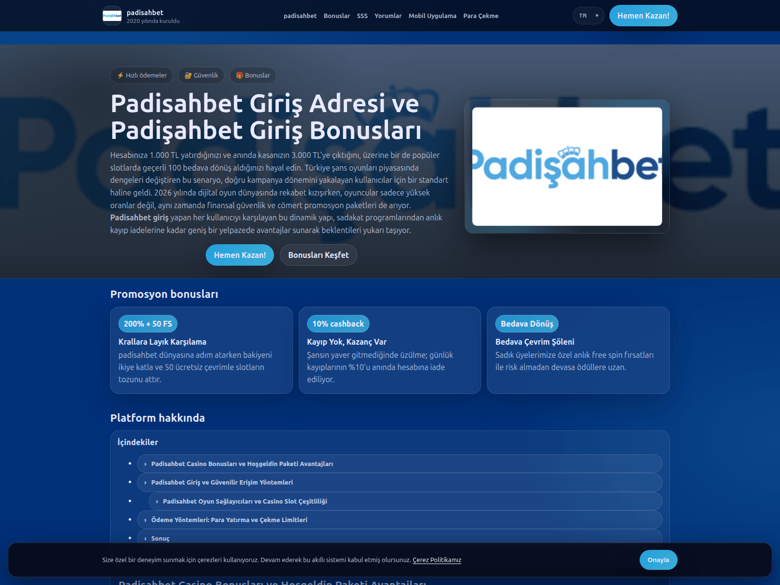 Screenshot of epingenc.com.tr