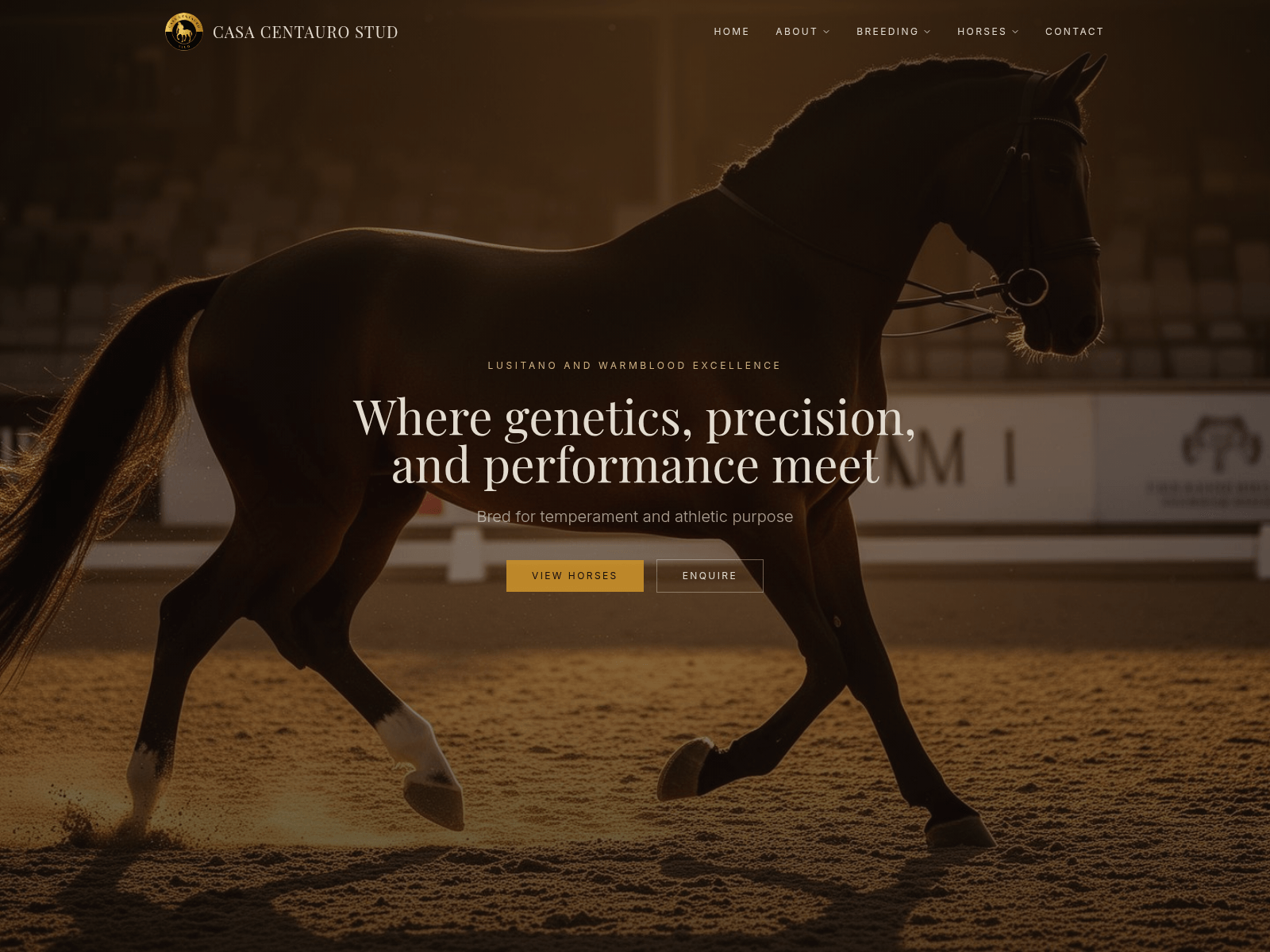 Screenshot of casacentauro.com