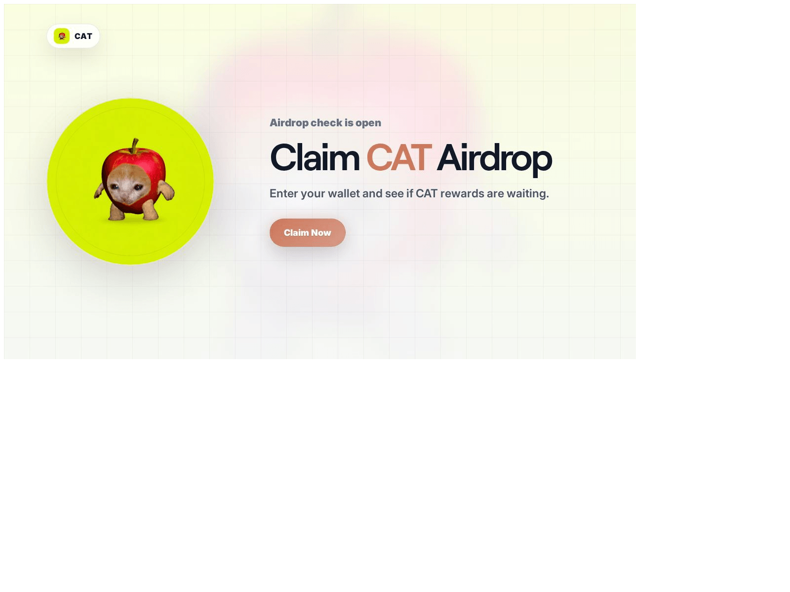Screenshot of cat.5a-evmcheck.lol