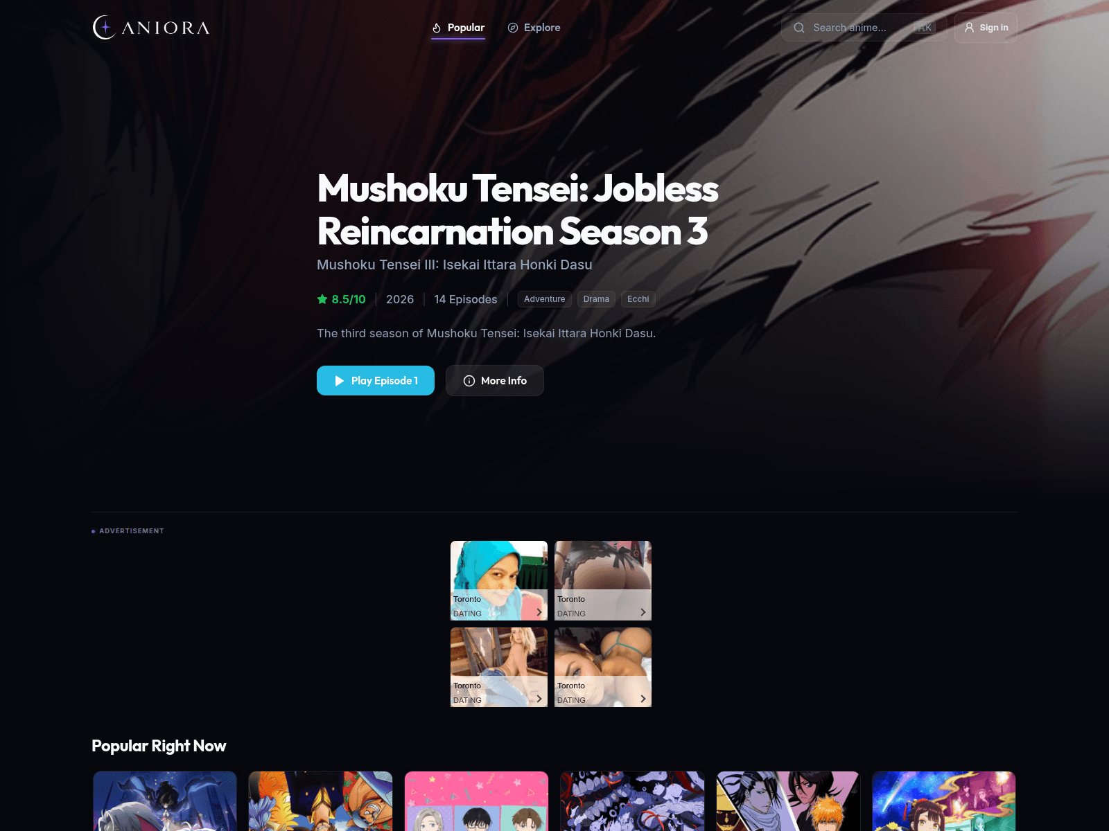 Screenshot of aniora.net