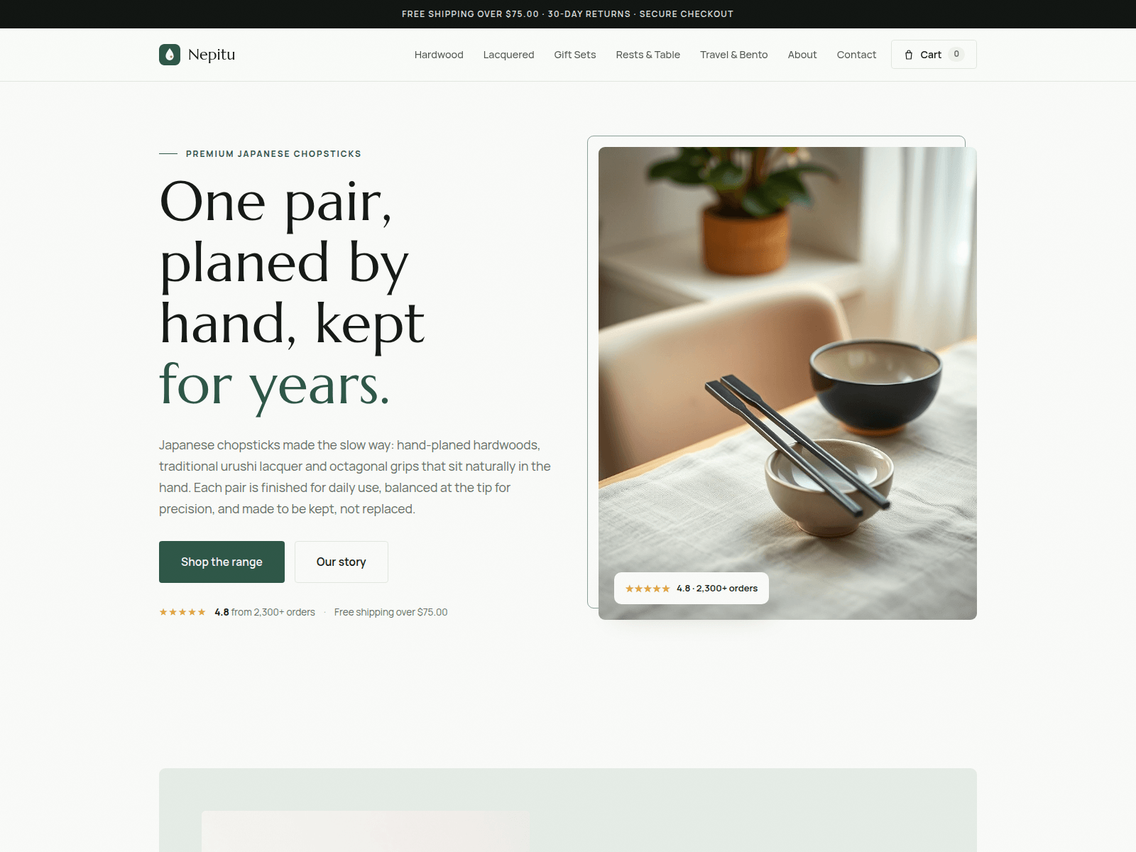Screenshot of nepitu.com