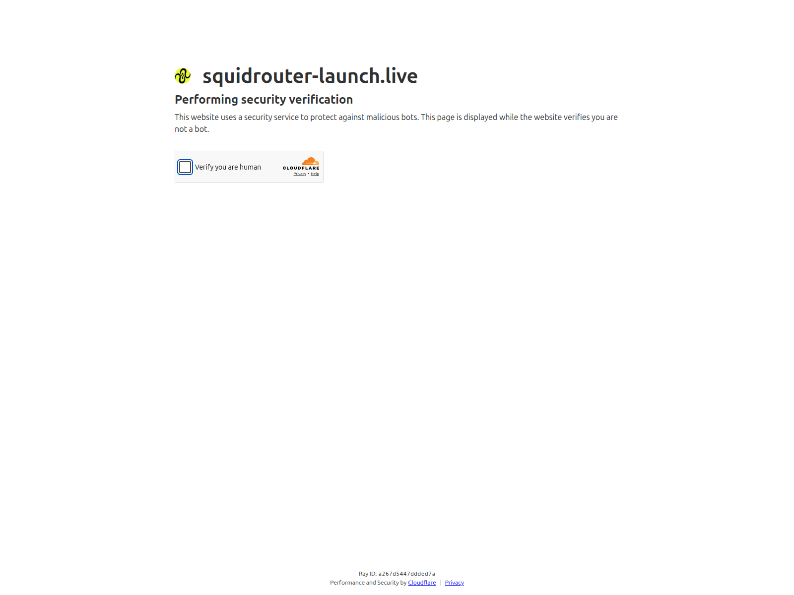 Screenshot of squidrouter-launch.live