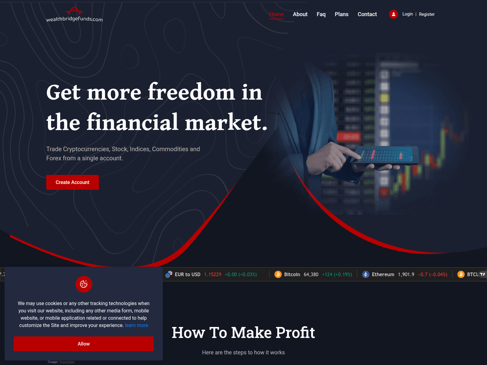 [Ekran görüntüsü] wealthbridgefunds.com