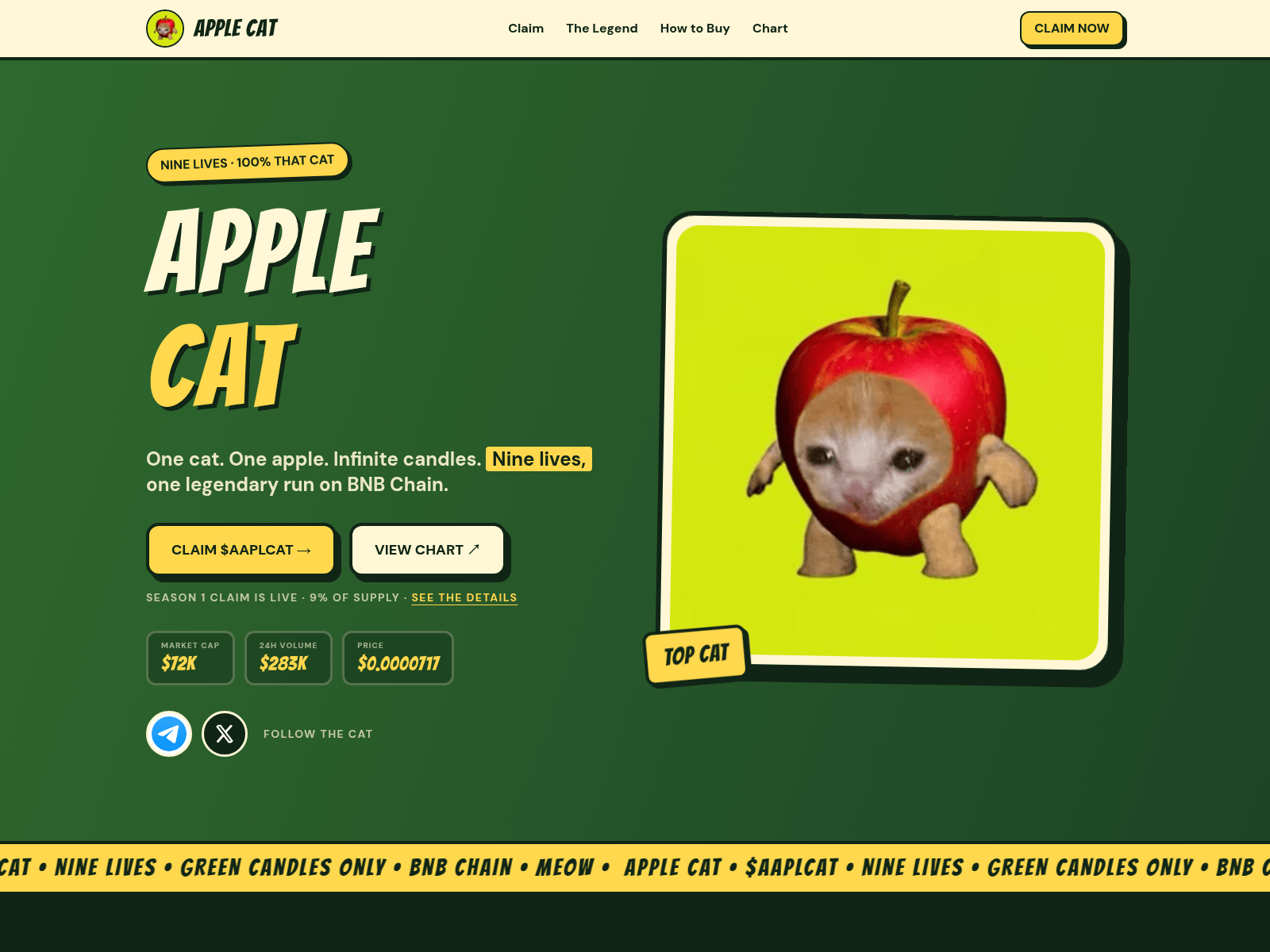 Screenshot of aaplcat.netlify.app