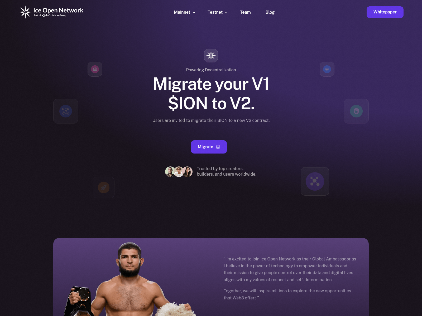 Screenshot of migrate-ice.xyz