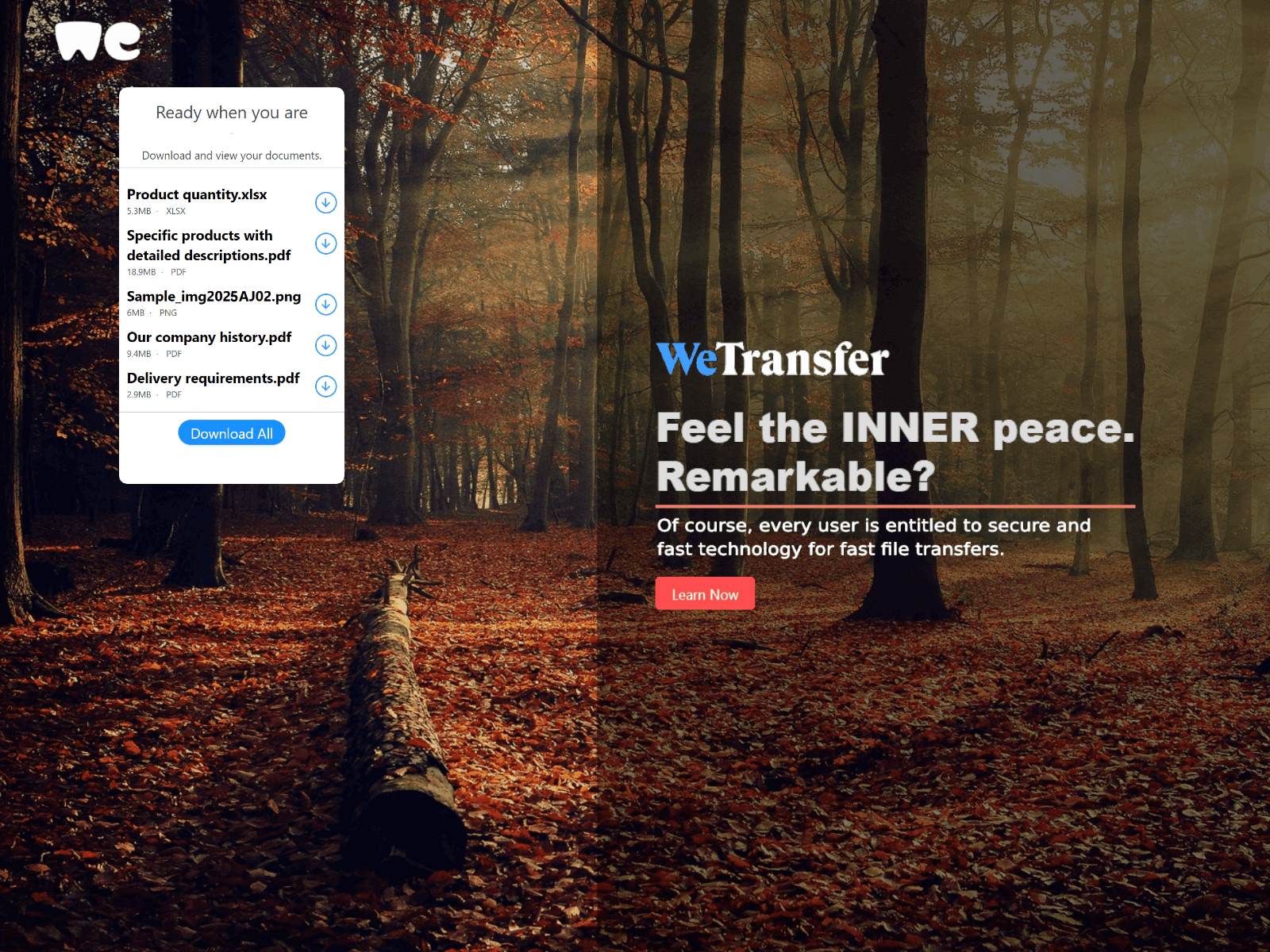 Screenshot of wetransfer-sampleproduct-transfer.netlify.app